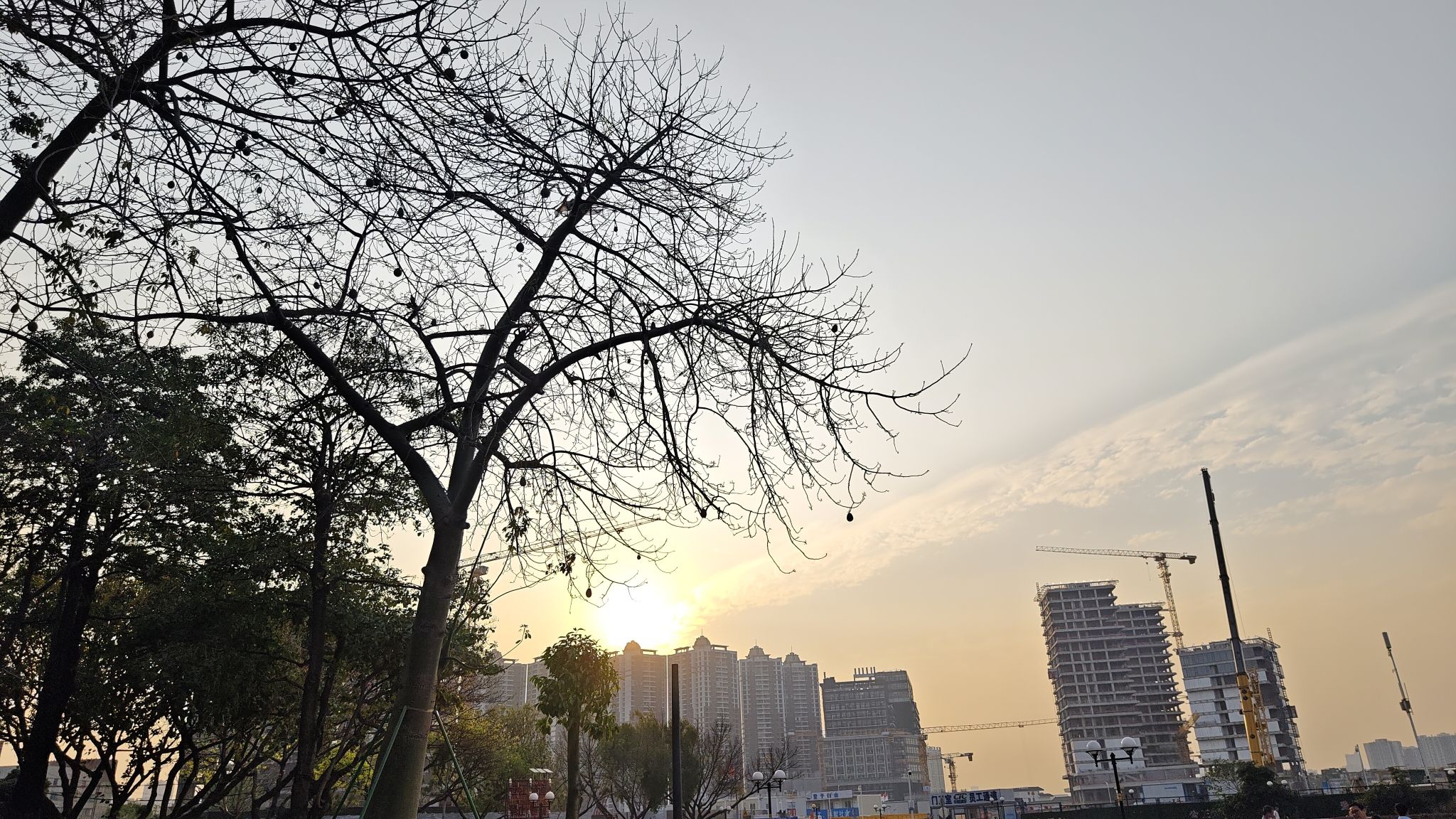 荔湾鹅潭新韵旅行图片 2