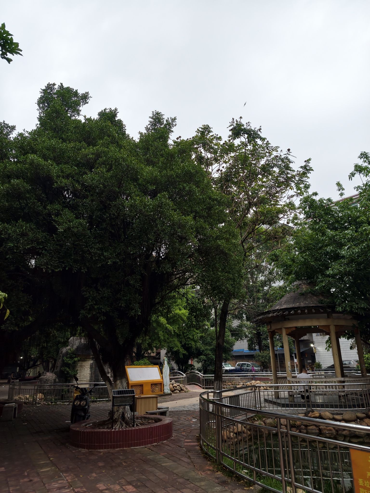 南岭公园旅行图片 1