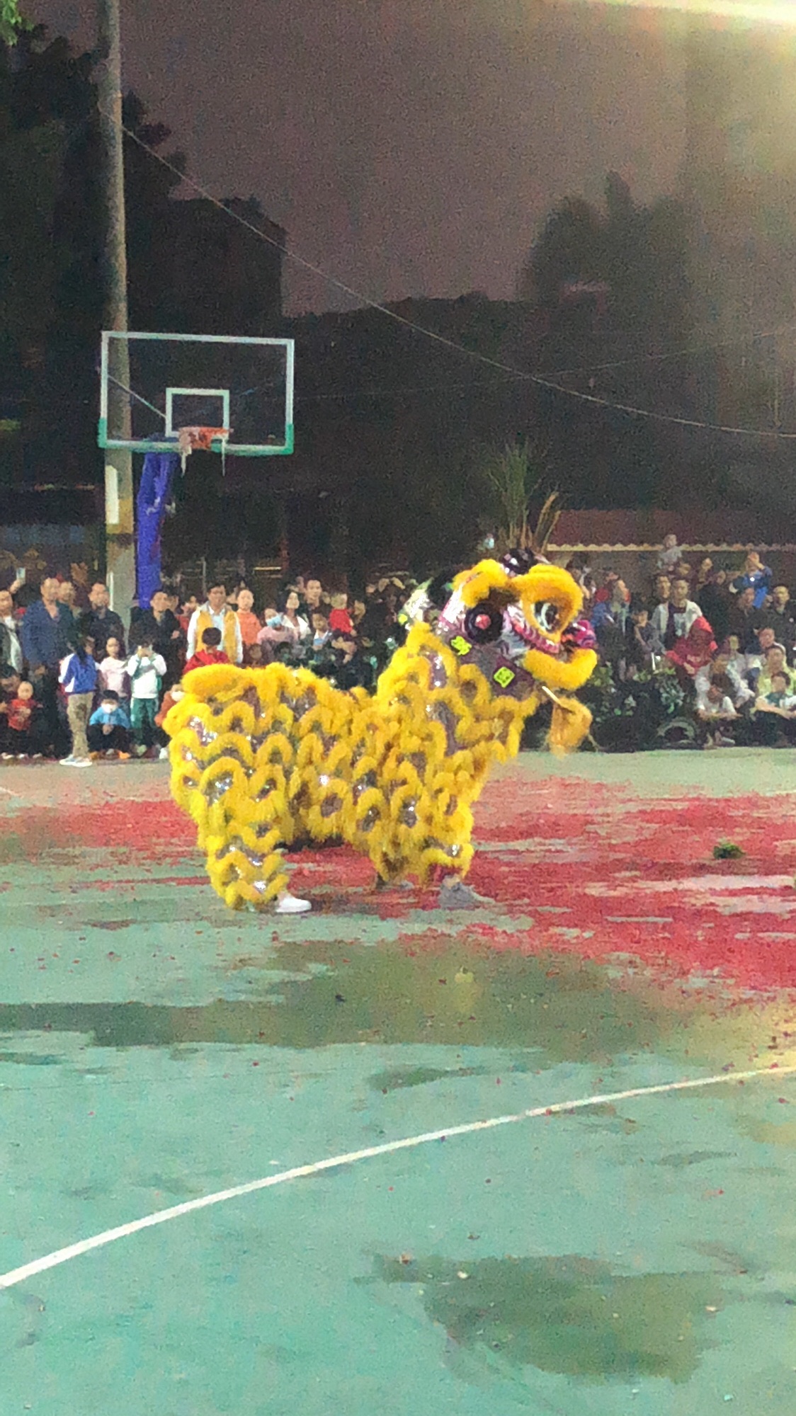 南岭公园旅行图片 1