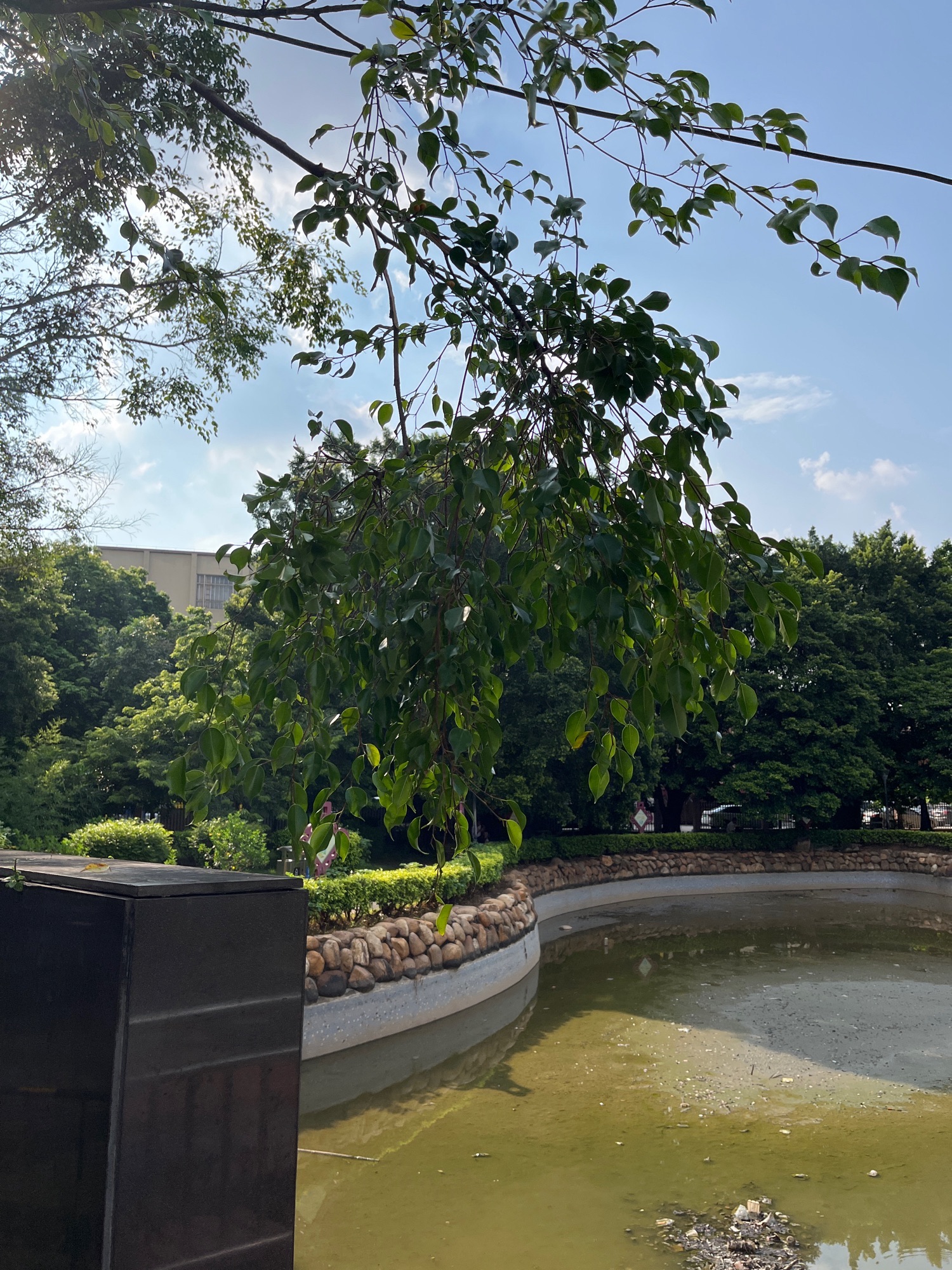 塘贝公园旅行图片 1