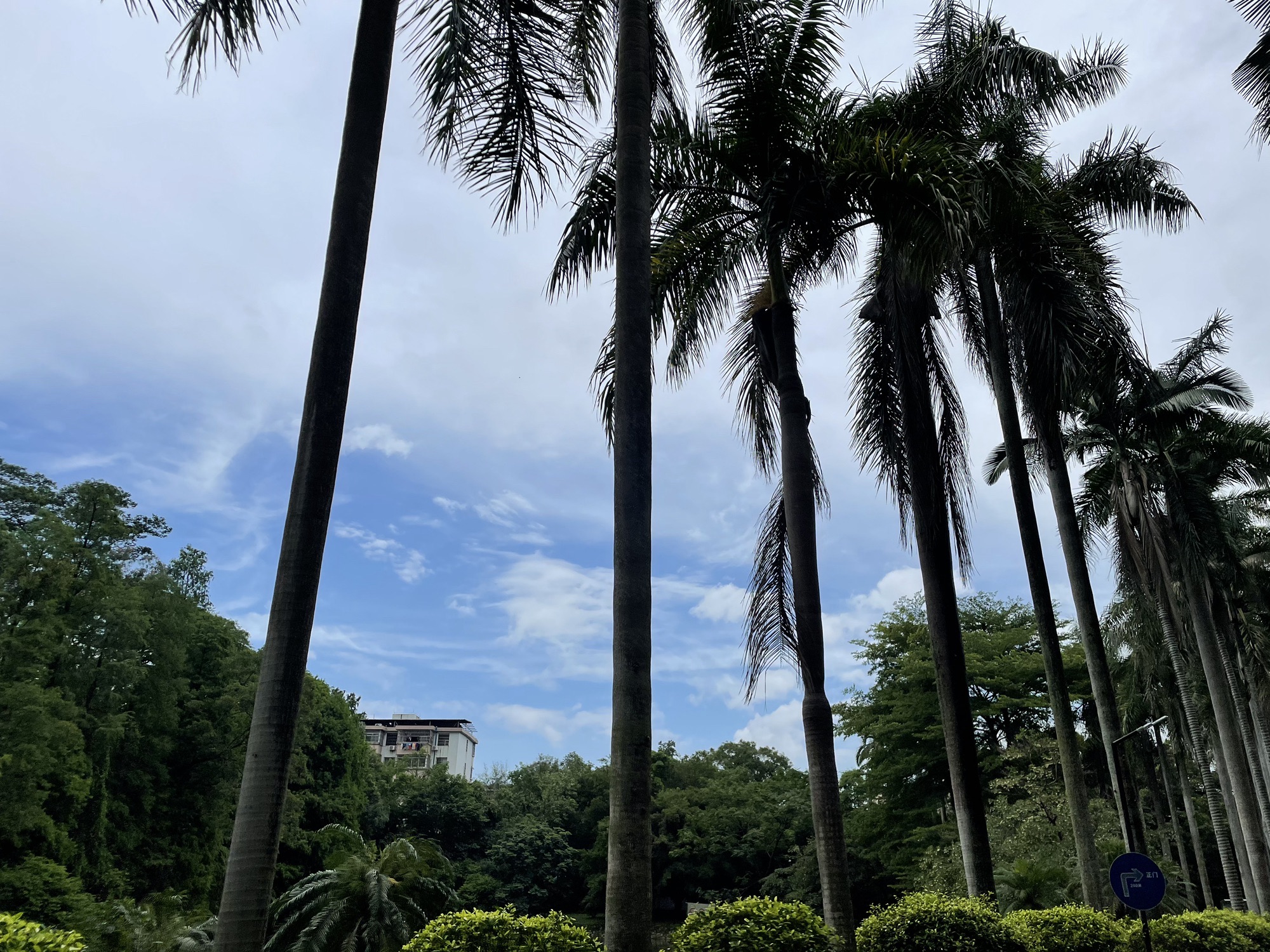 中国科学院华南植物园科研区旅行图片 1