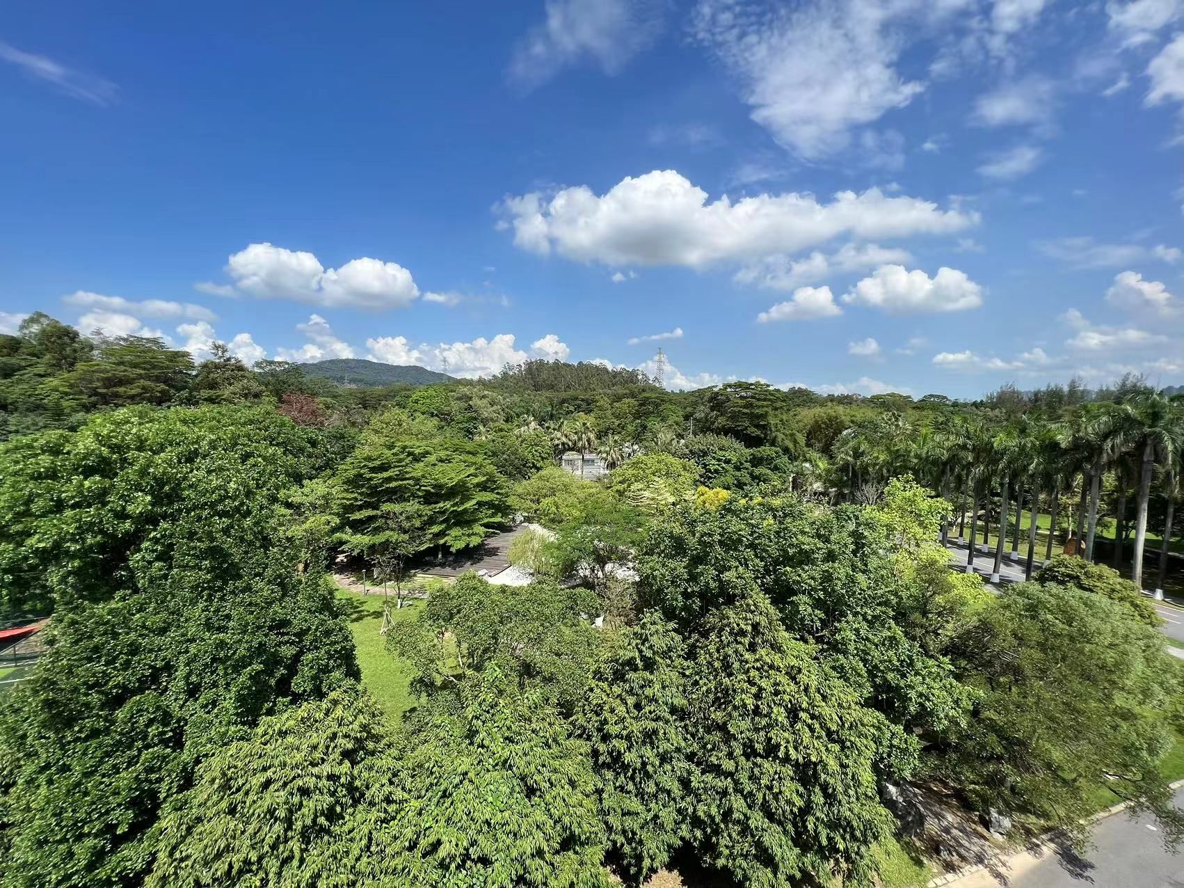 中国科学院华南植物园科研区旅行图片 1