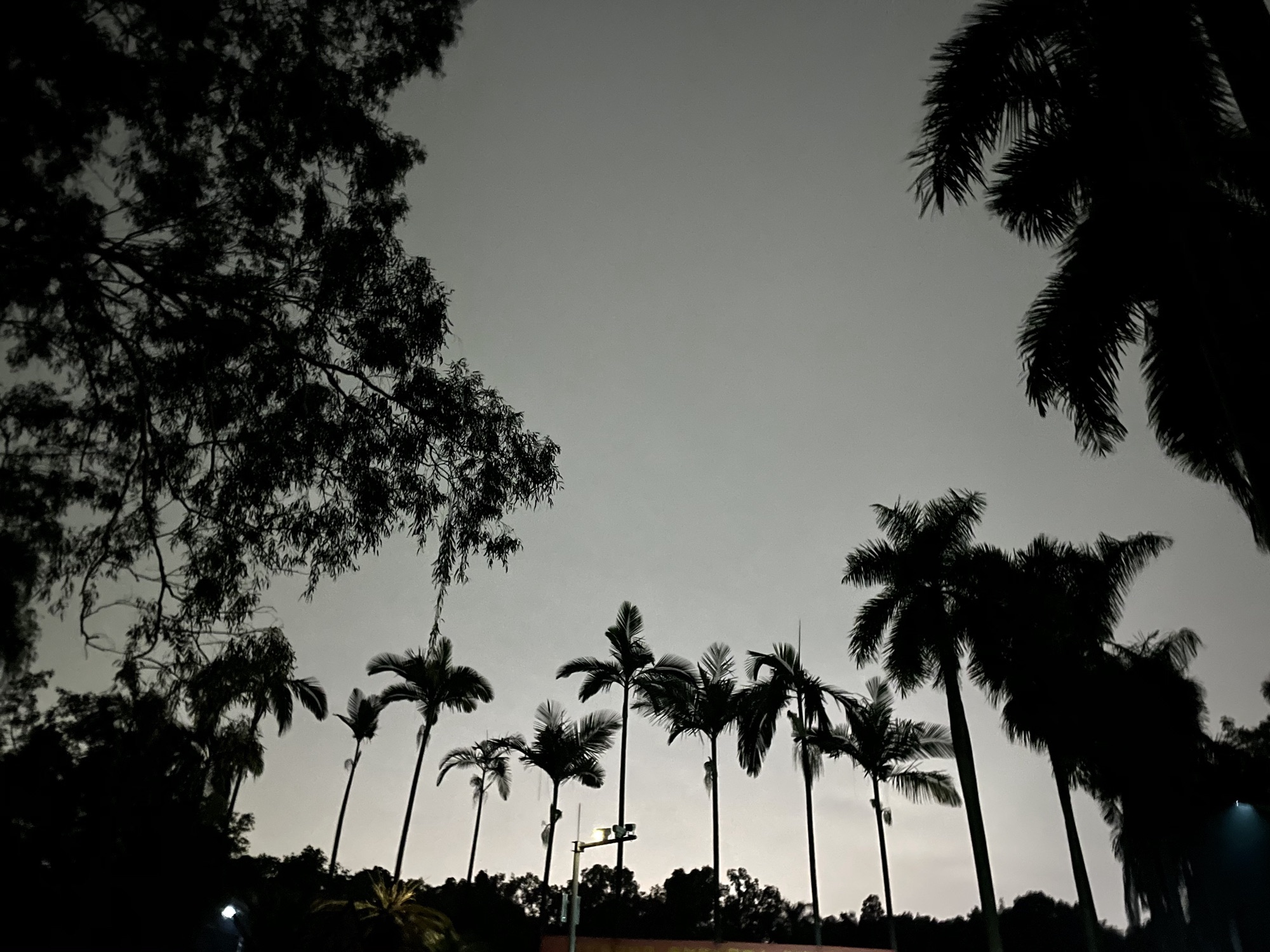 中国科学院华南植物园科研区旅行图片 3