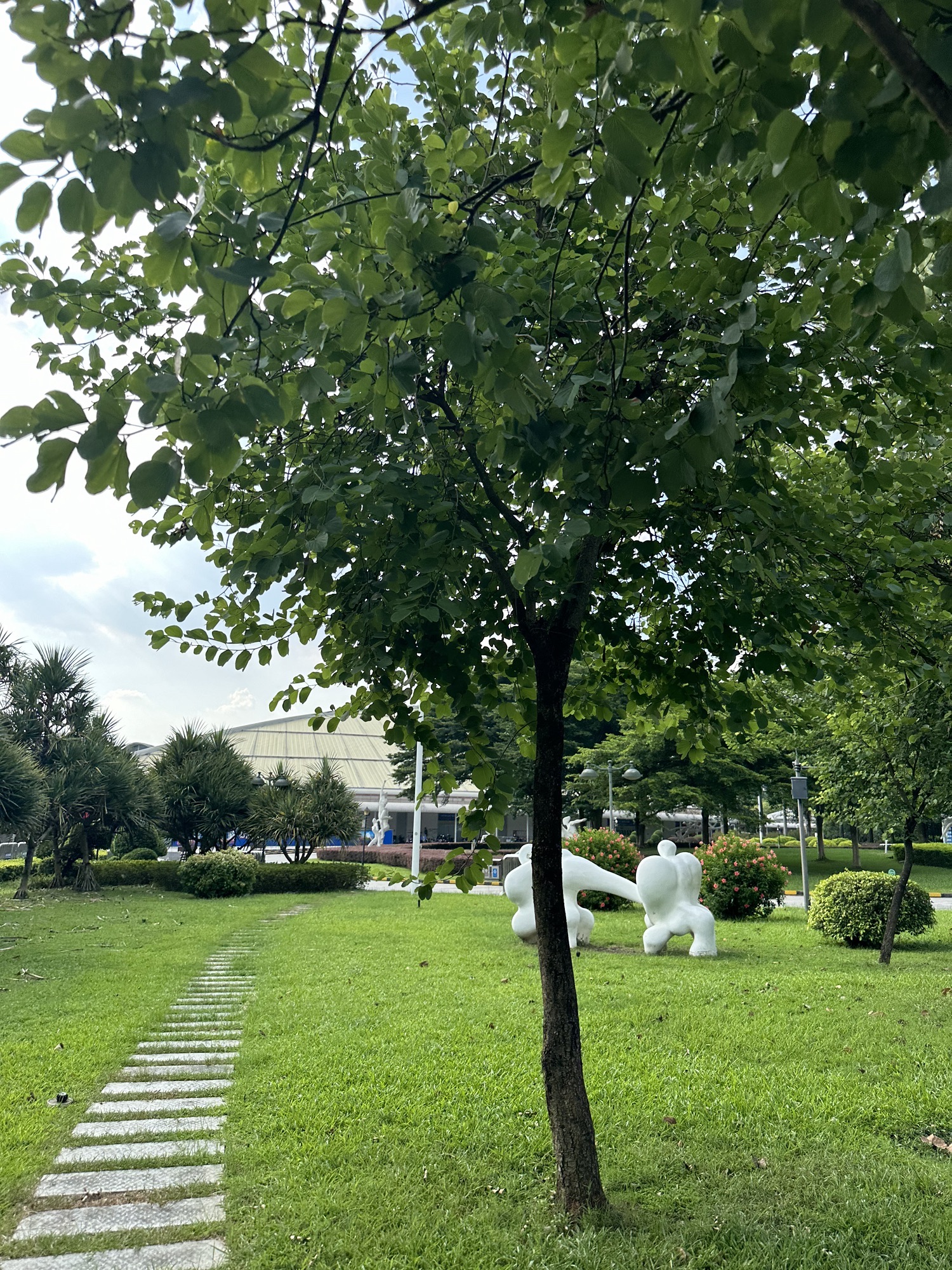 广州体育馆-东广场
