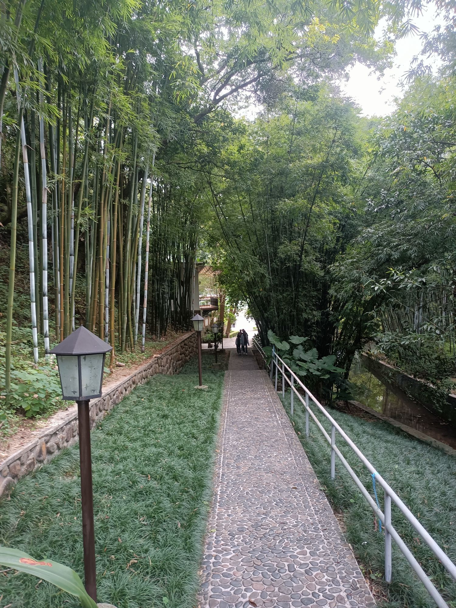 白石山旅行图片 2