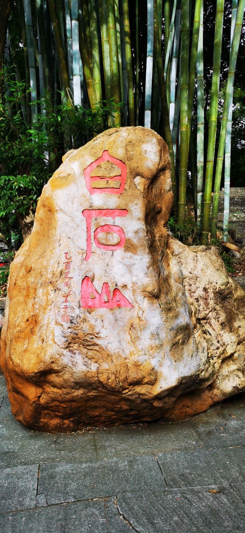 白石山旅行图片 1