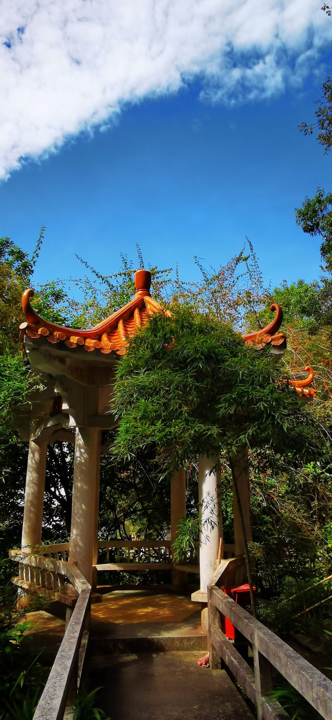 白石山旅行图片 3