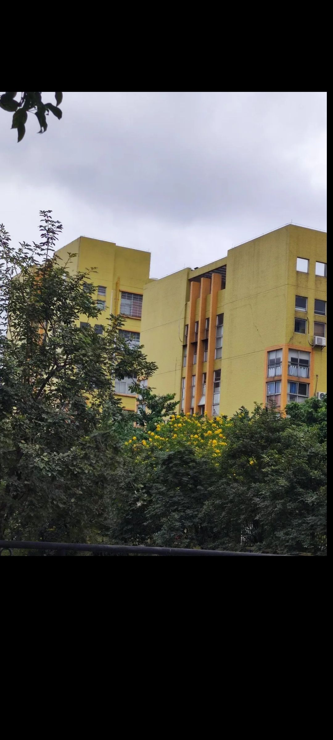 南漖村中心公园旅行图片 1