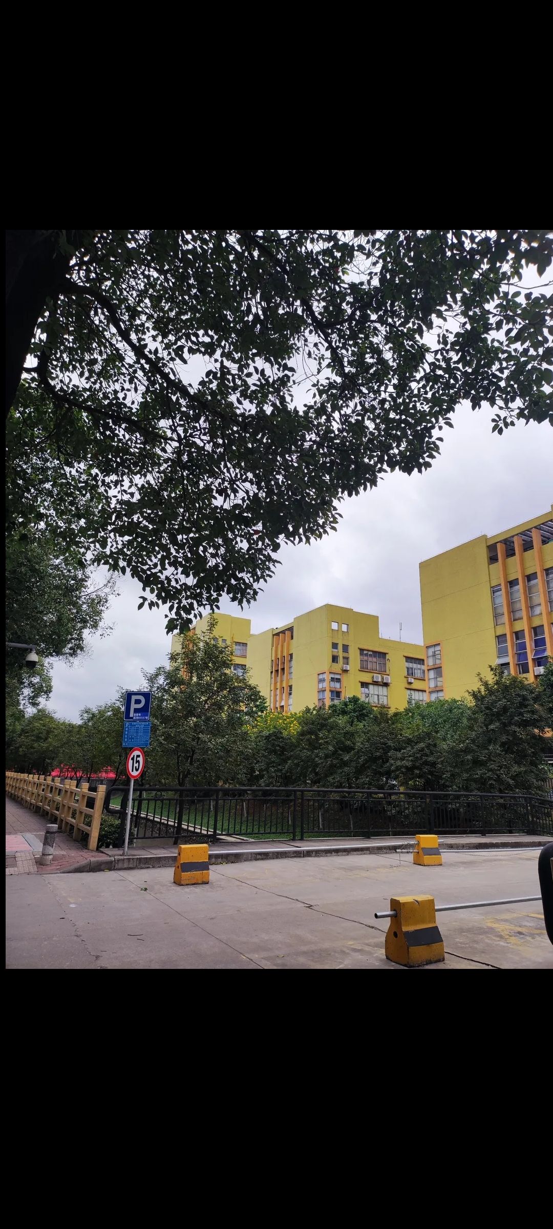南漖村中心公园旅行图片 2