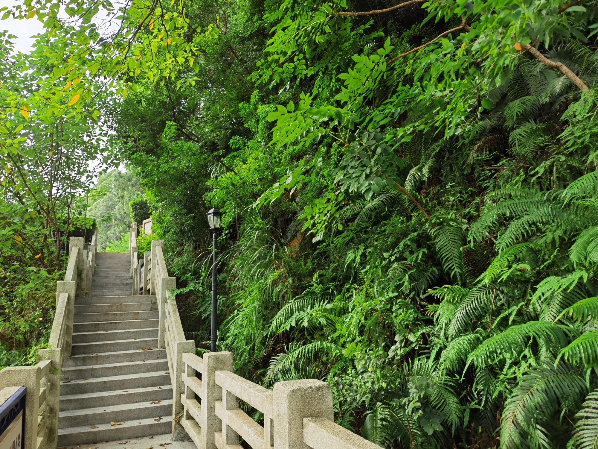 牛山炮台公园旅行图片 1