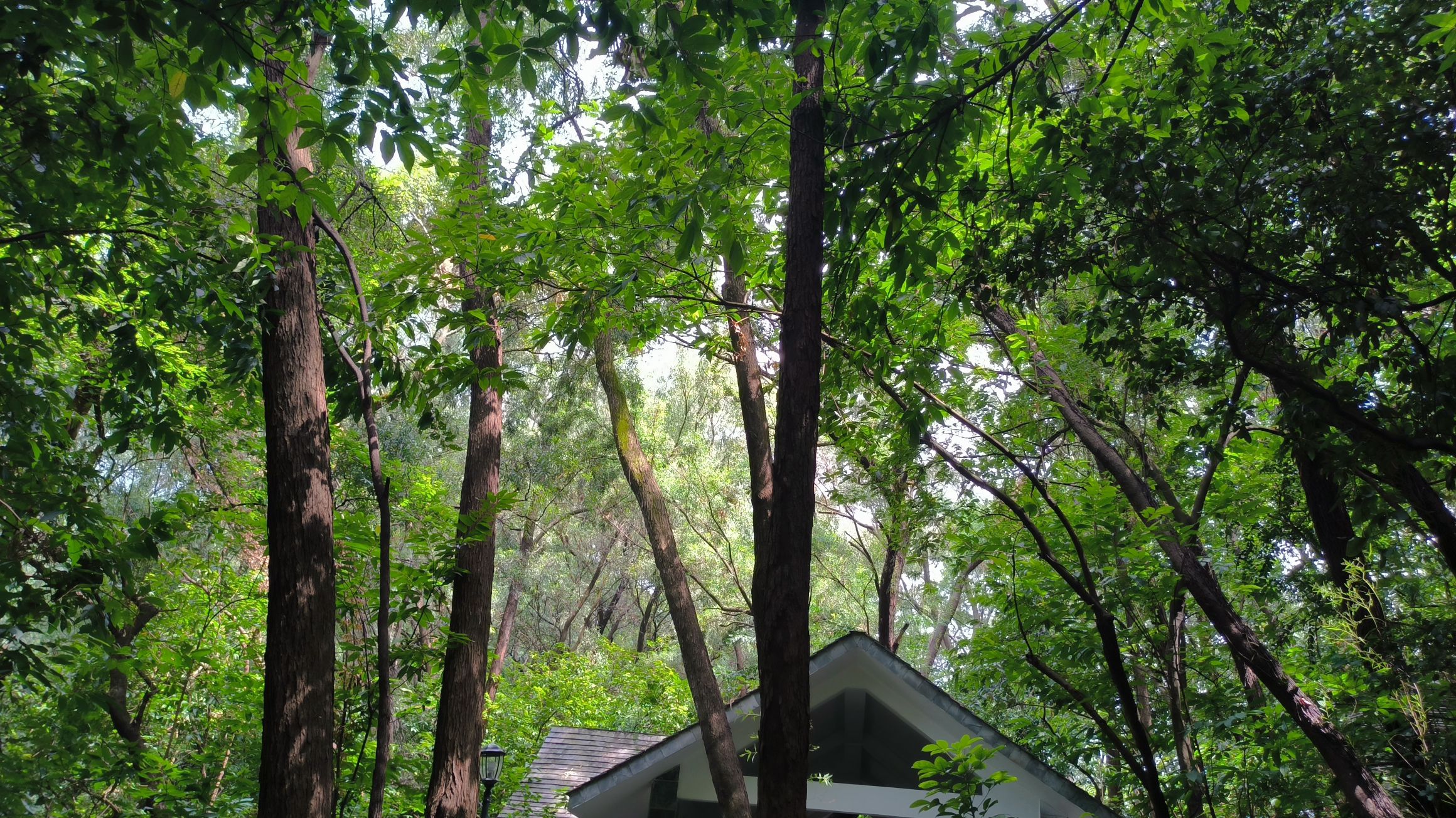 牛山炮台公园旅行图片 2