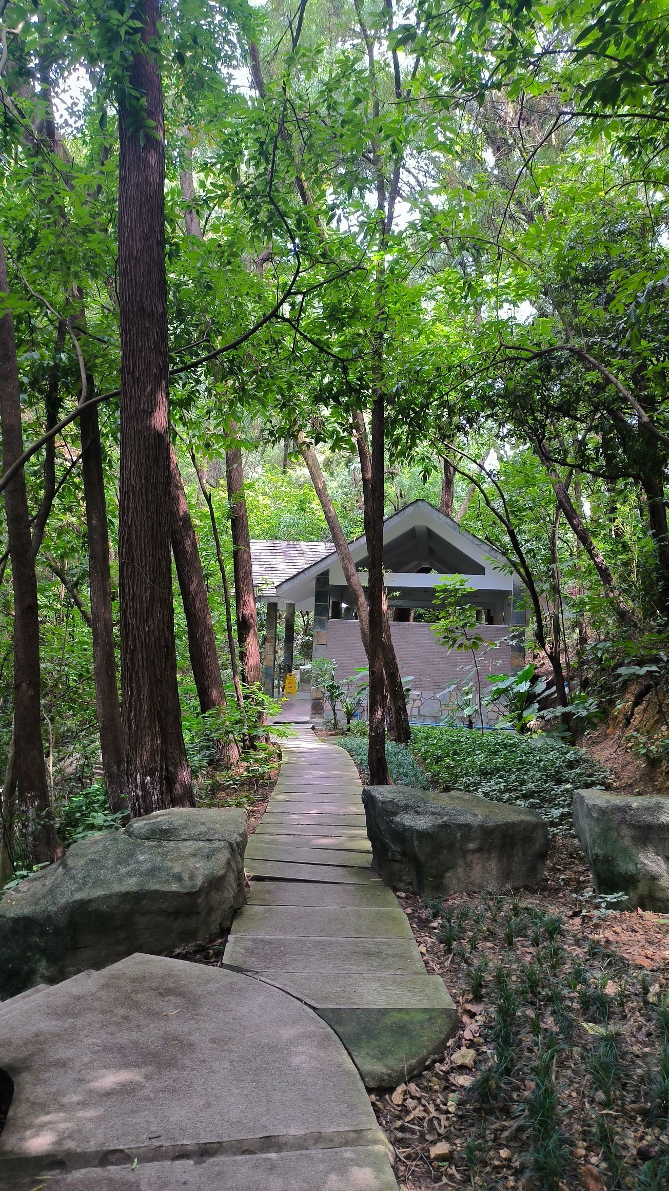 牛山炮台公园旅行图片 1