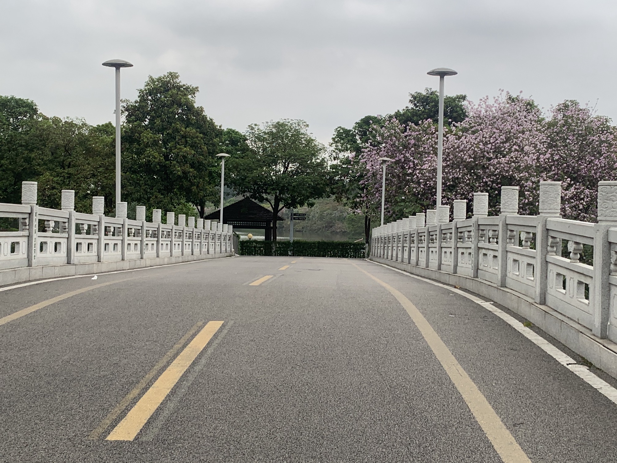 广东花都湖国家湿地公园旅行图片 1