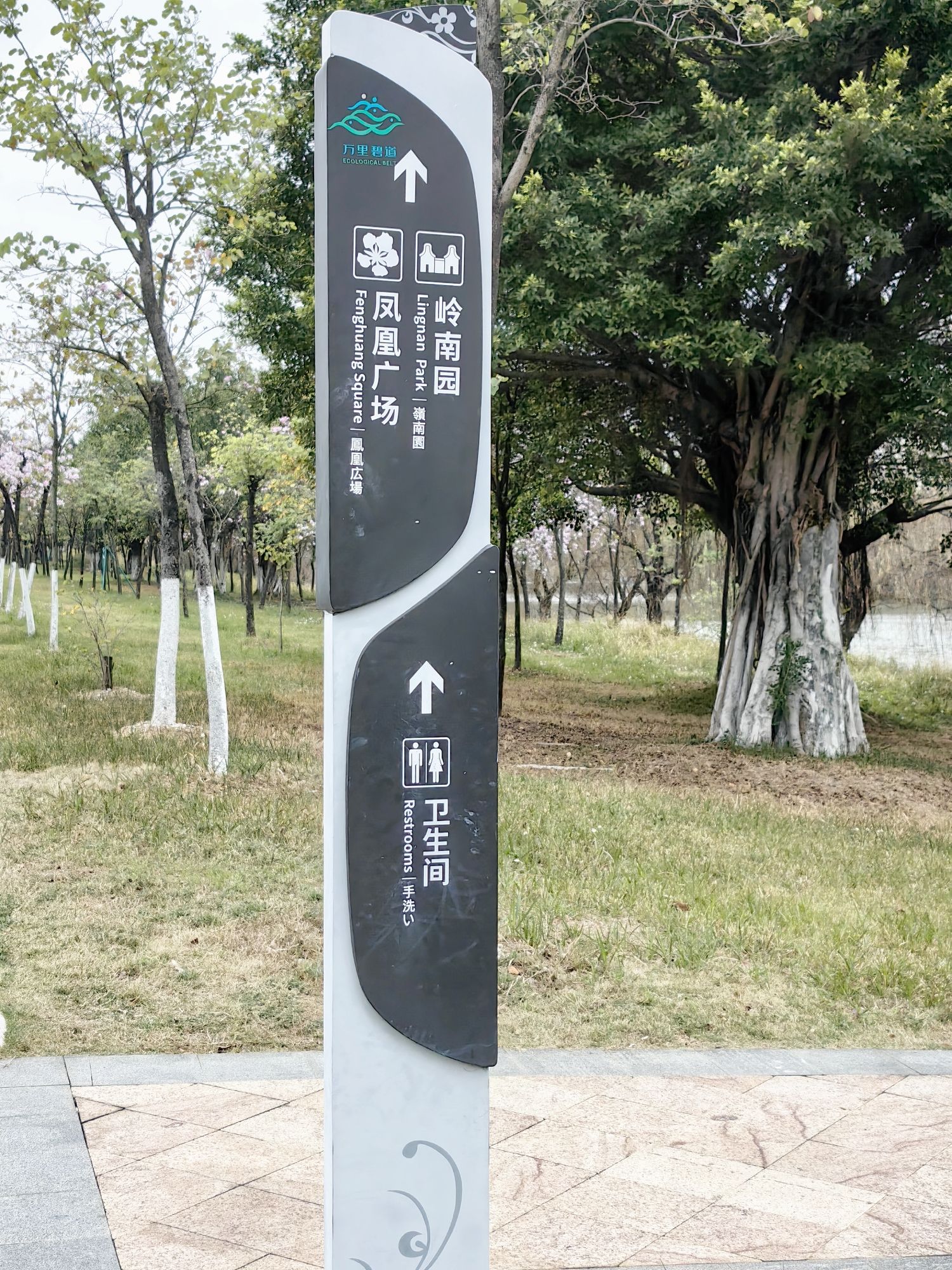 广东花都湖国家湿地公园旅行图片 3