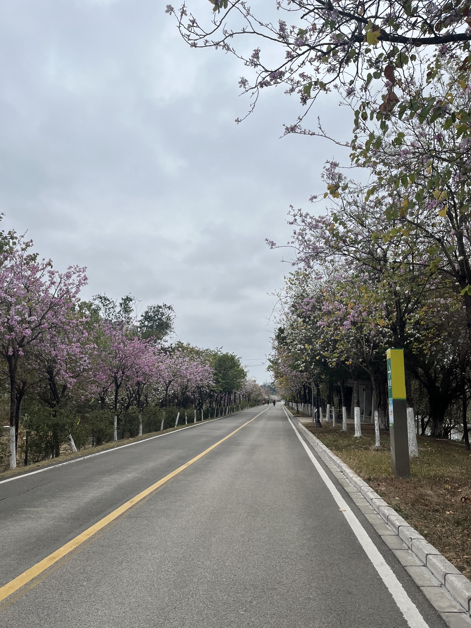 广东花都湖国家湿地公园旅行图片 1