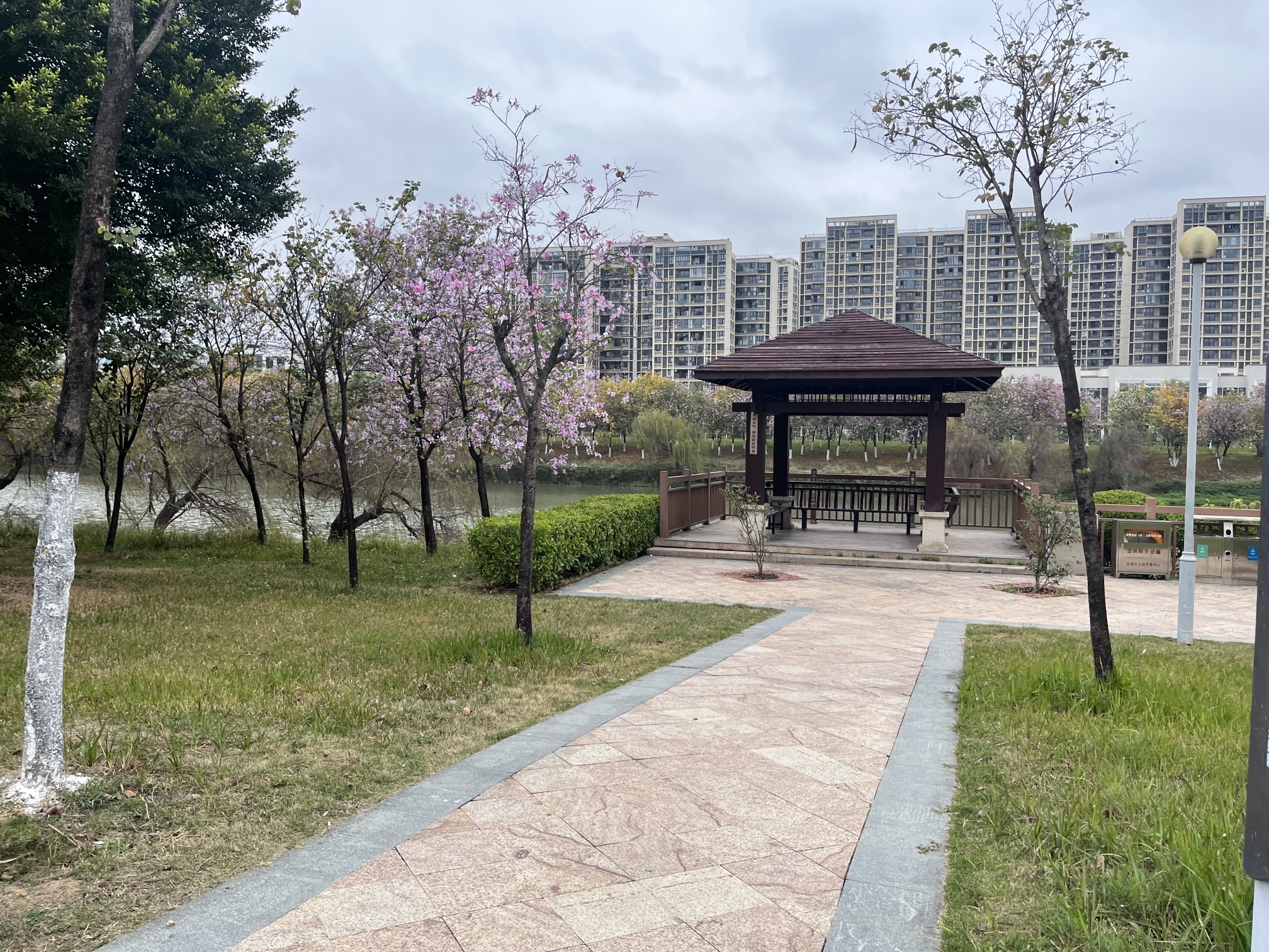 广东花都湖国家湿地公园旅行图片 2