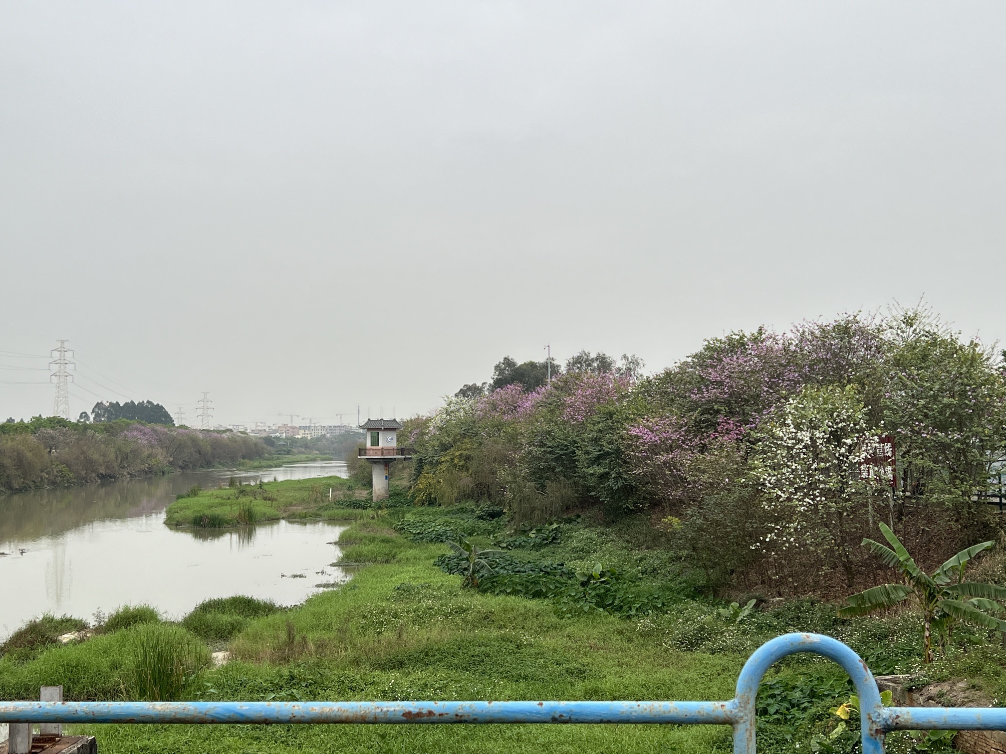 广东花都湖国家湿地公园旅行图片 3
