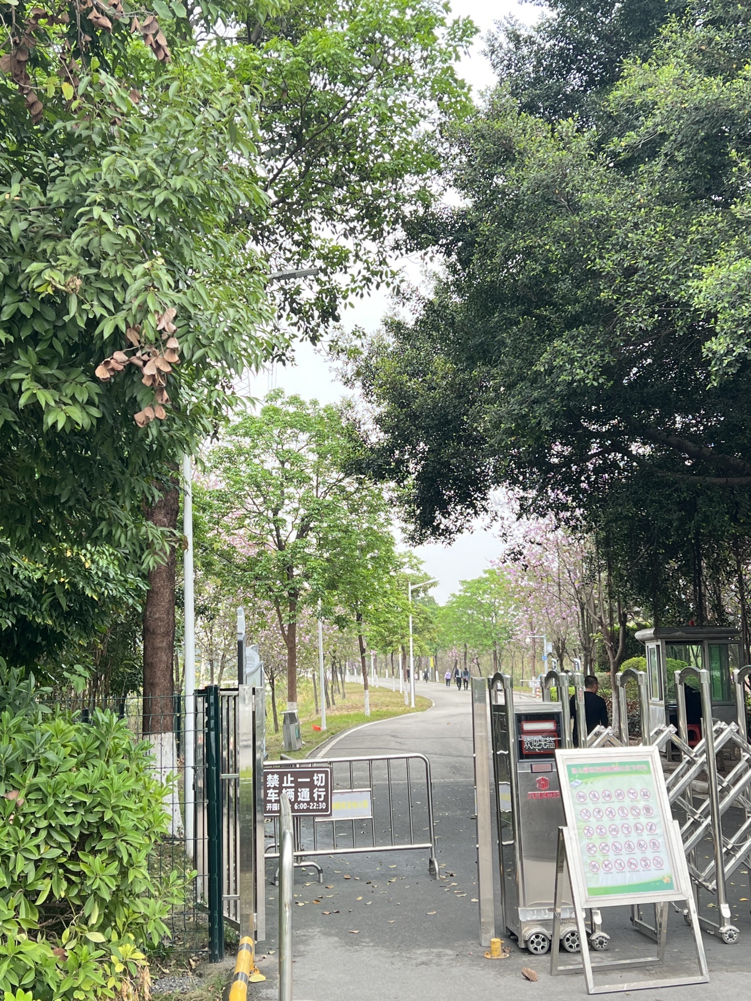 广东花都湖国家湿地公园旅行图片 2
