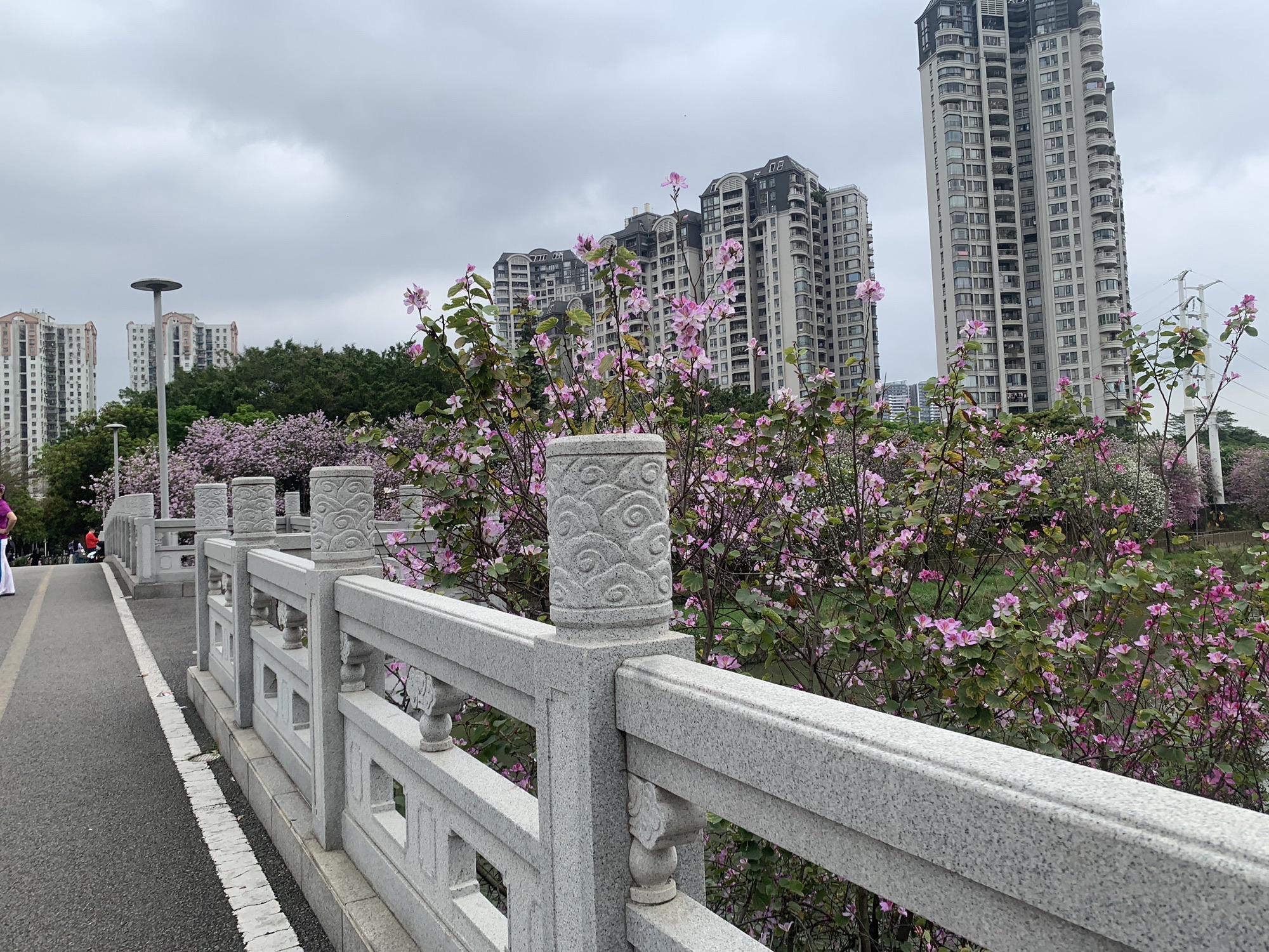 广东花都湖国家湿地公园旅行图片 3