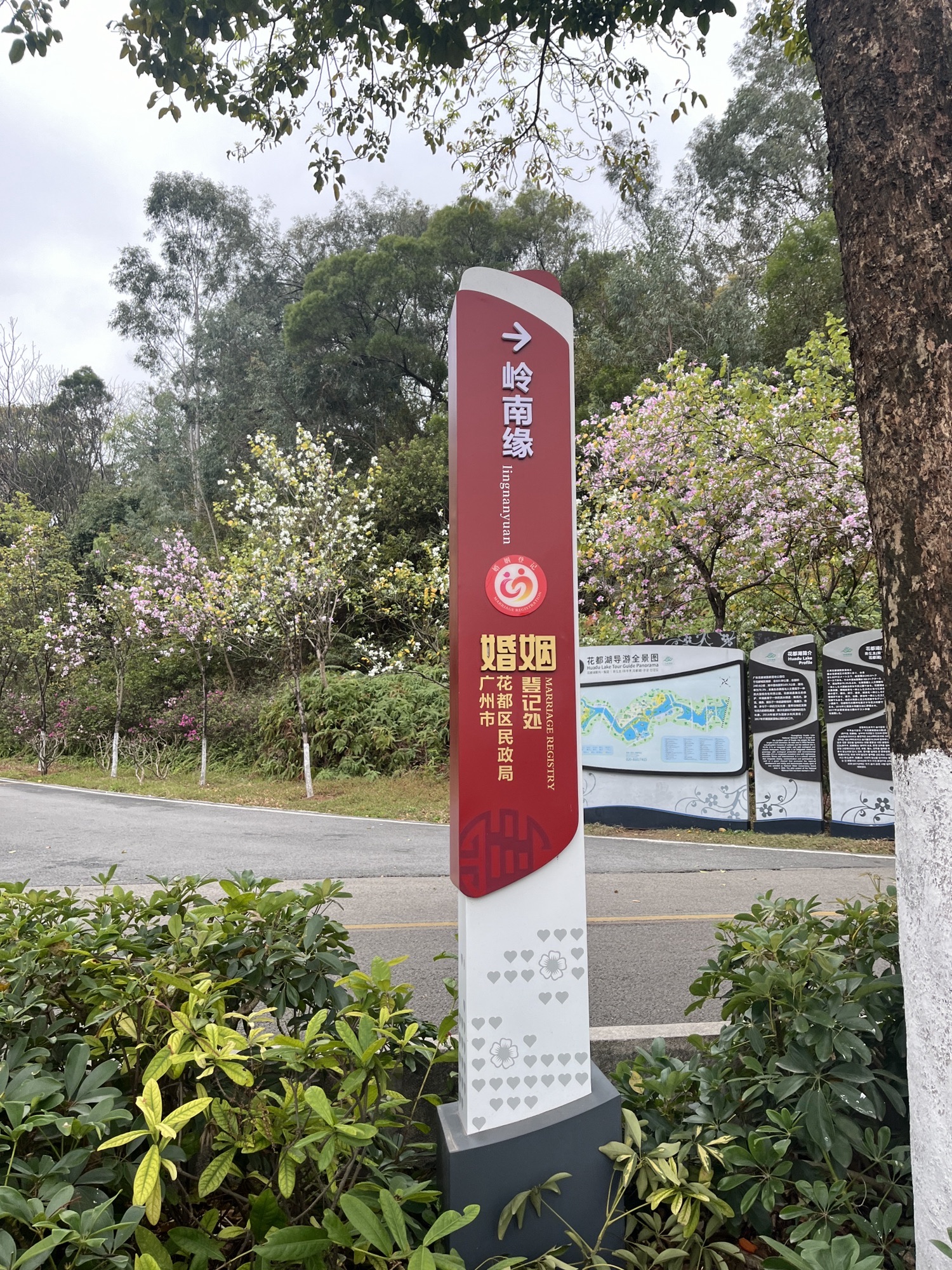 广东花都湖国家湿地公园旅行图片 3