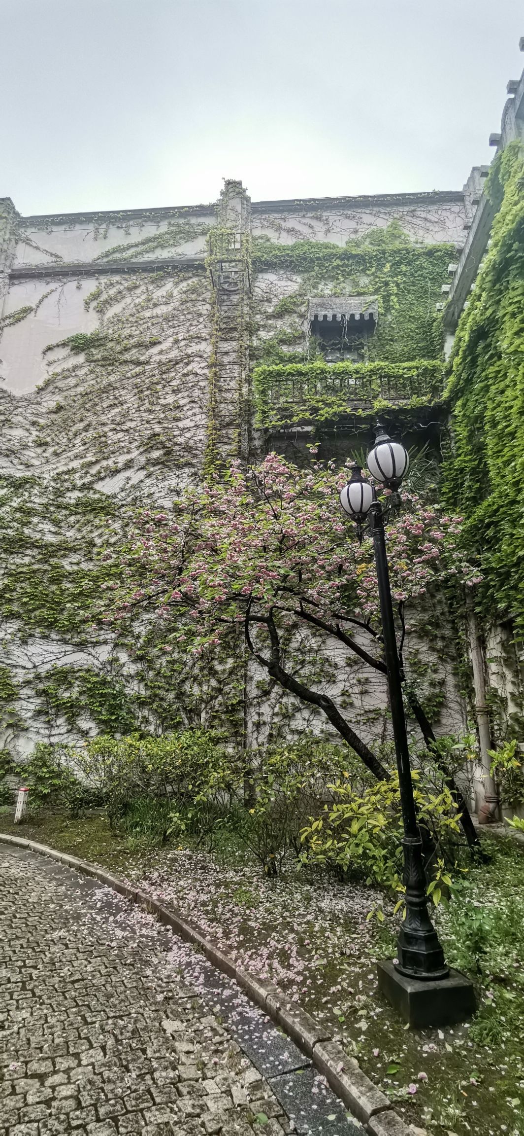 上海影视乐园旅行图片 3