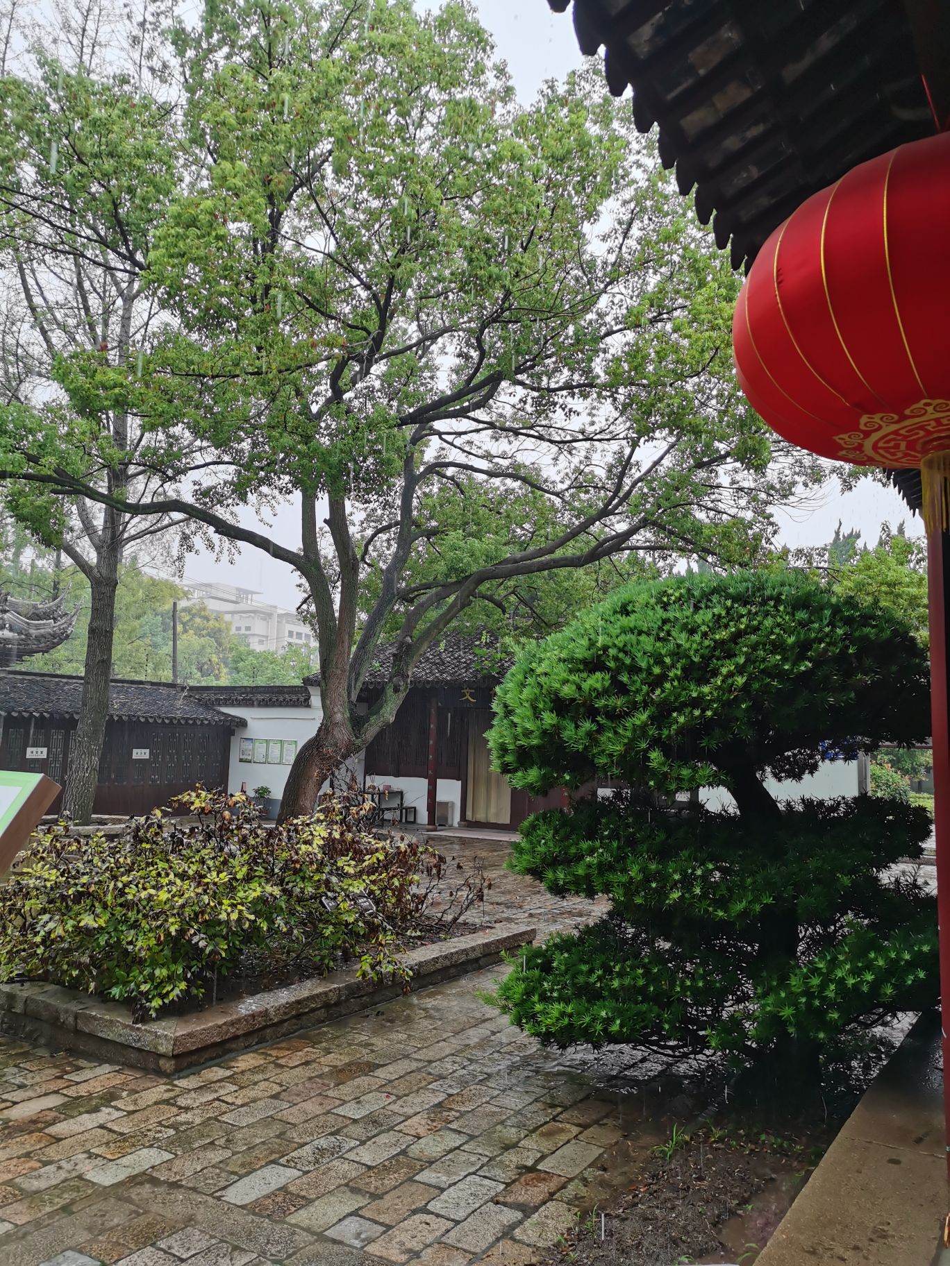 上海崇明学宫旅行图片 1