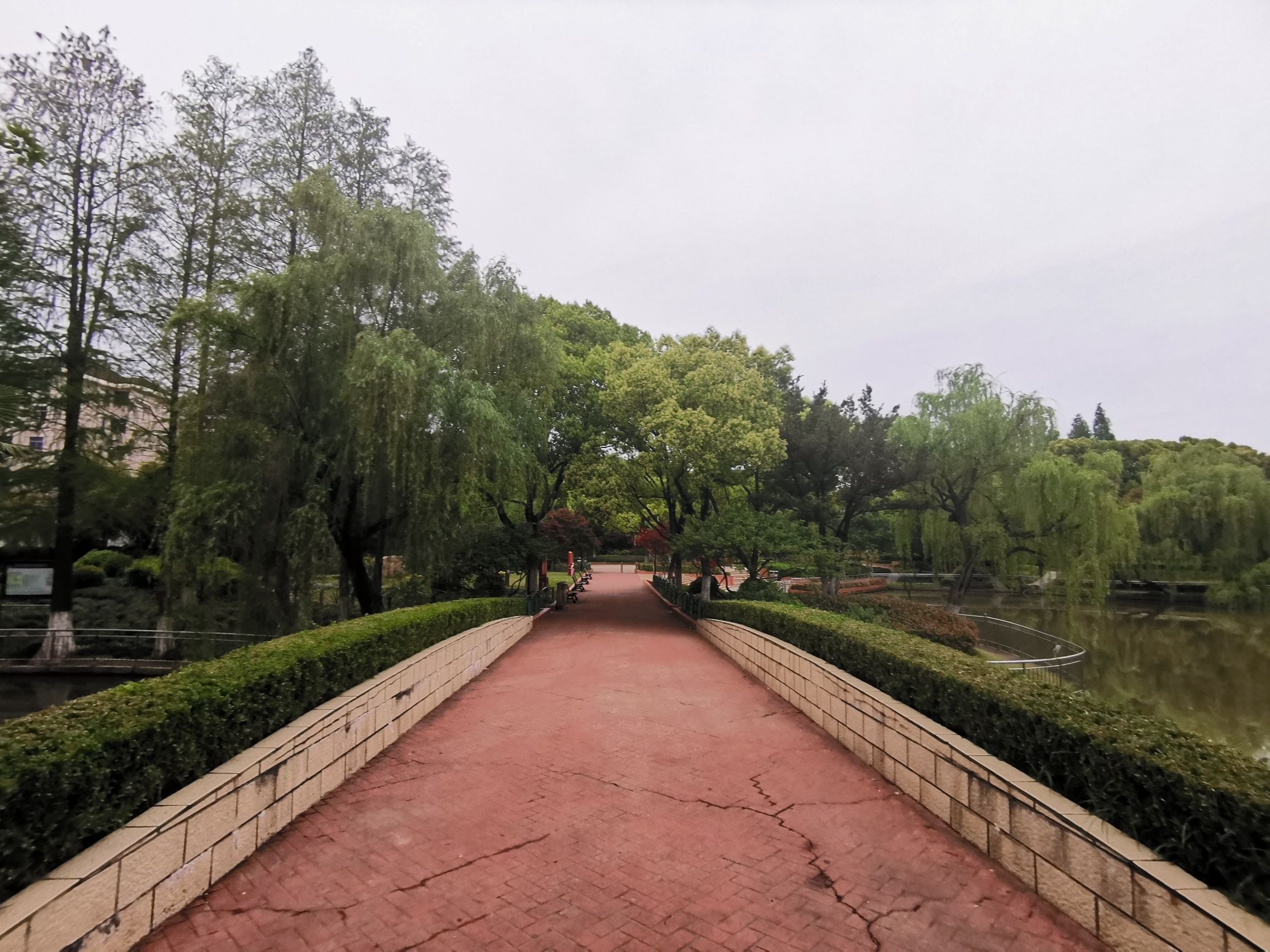 黄渡公园旅行图片 3