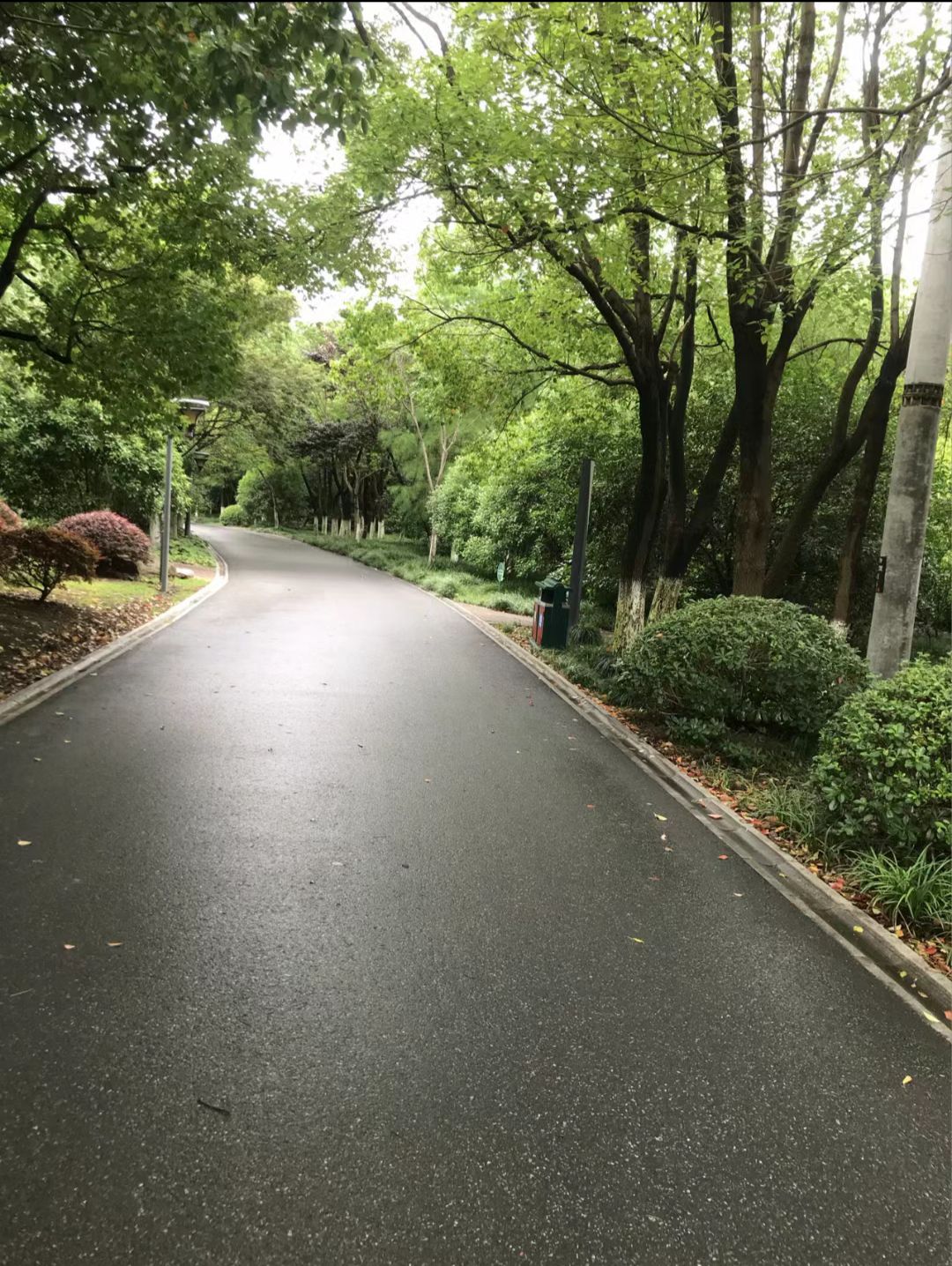 黄渡公园旅行图片 3