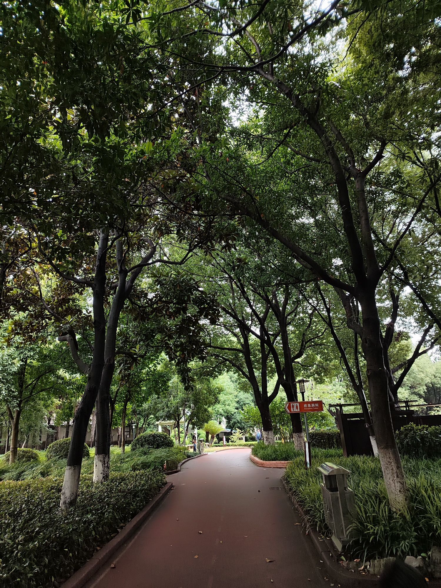 黄渡公园旅行图片 2
