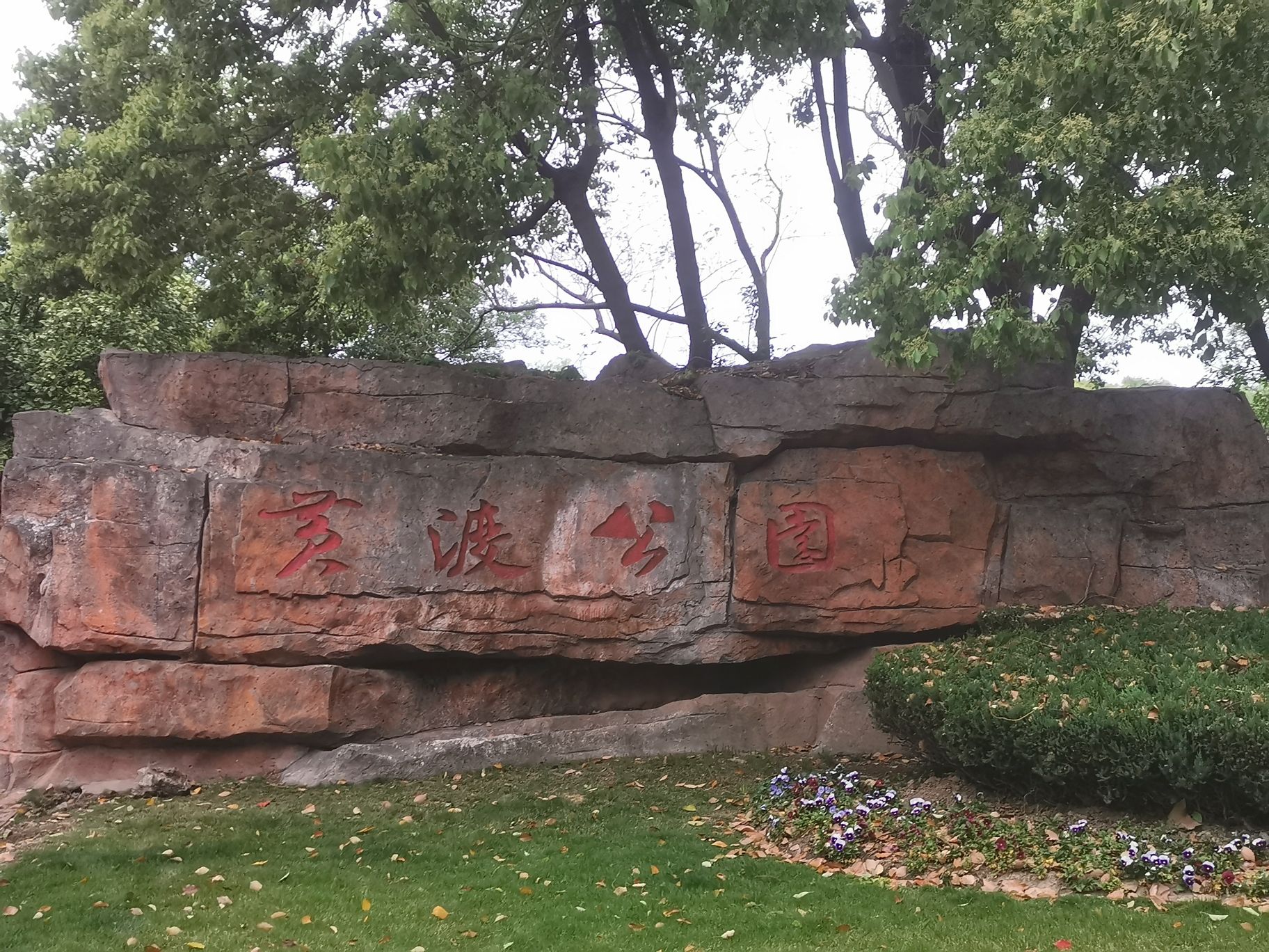 黄渡公园旅行图片 1