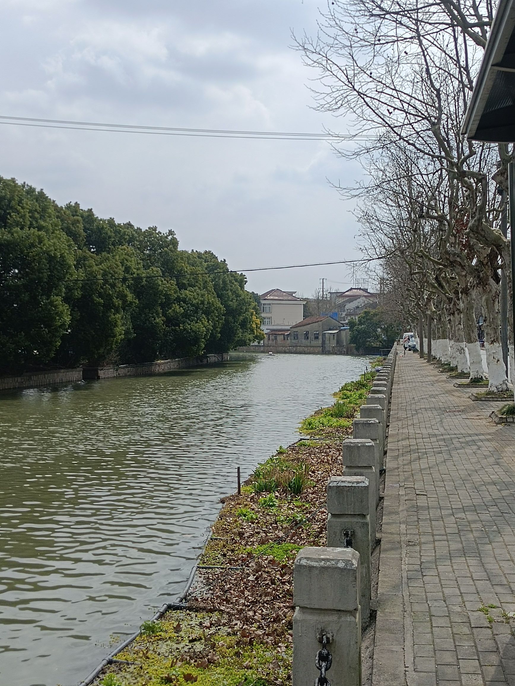 黄渡公园旅行图片 3