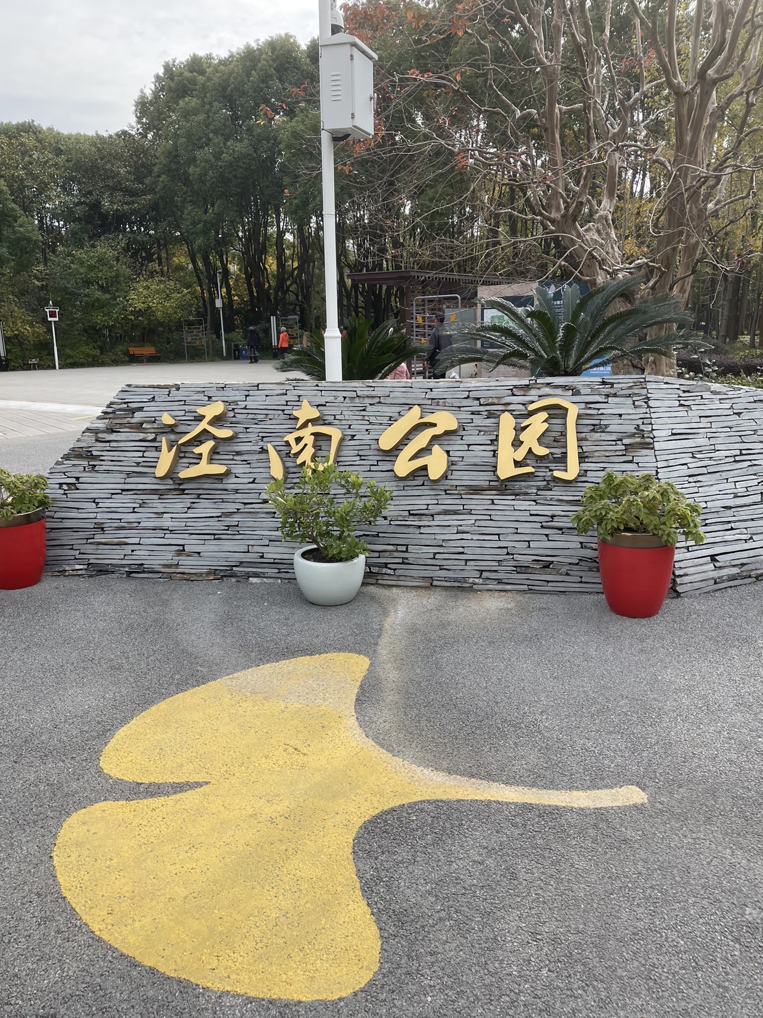 泾南公园旅行图片 1