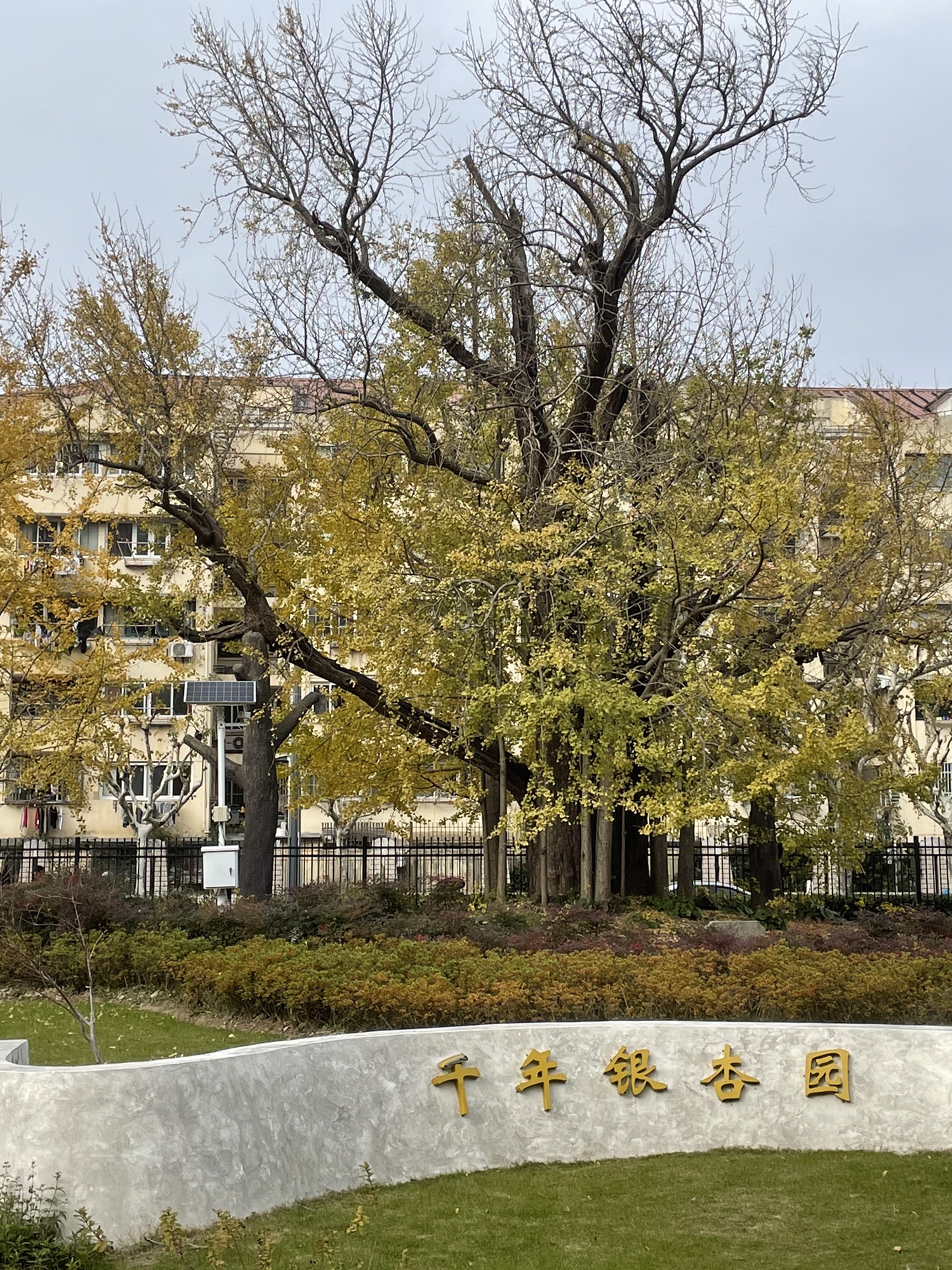 泾南公园旅行图片 3