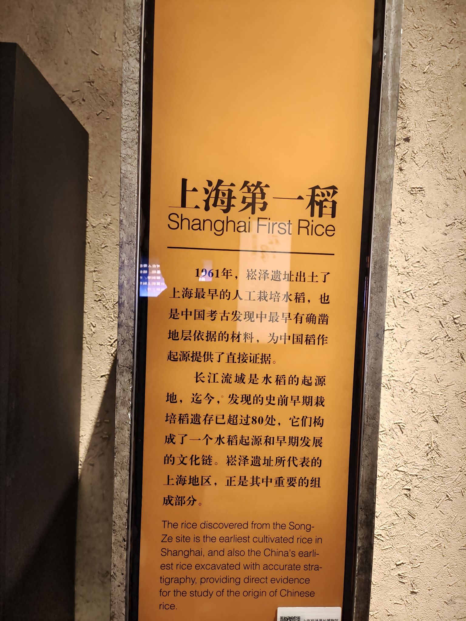 崧泽古文化遗址旅行图片 3