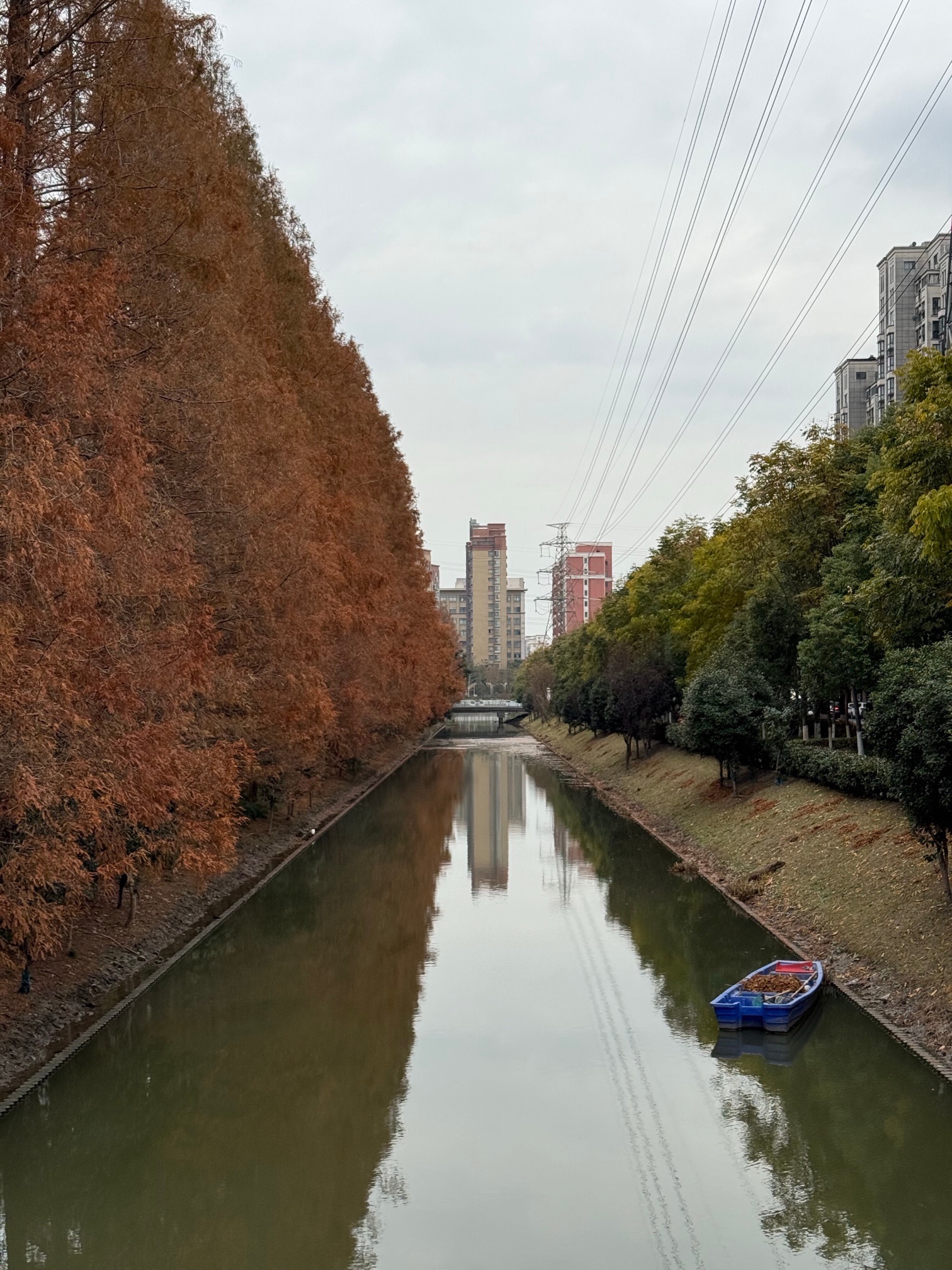 上海闵行体育公园旅行图片 1