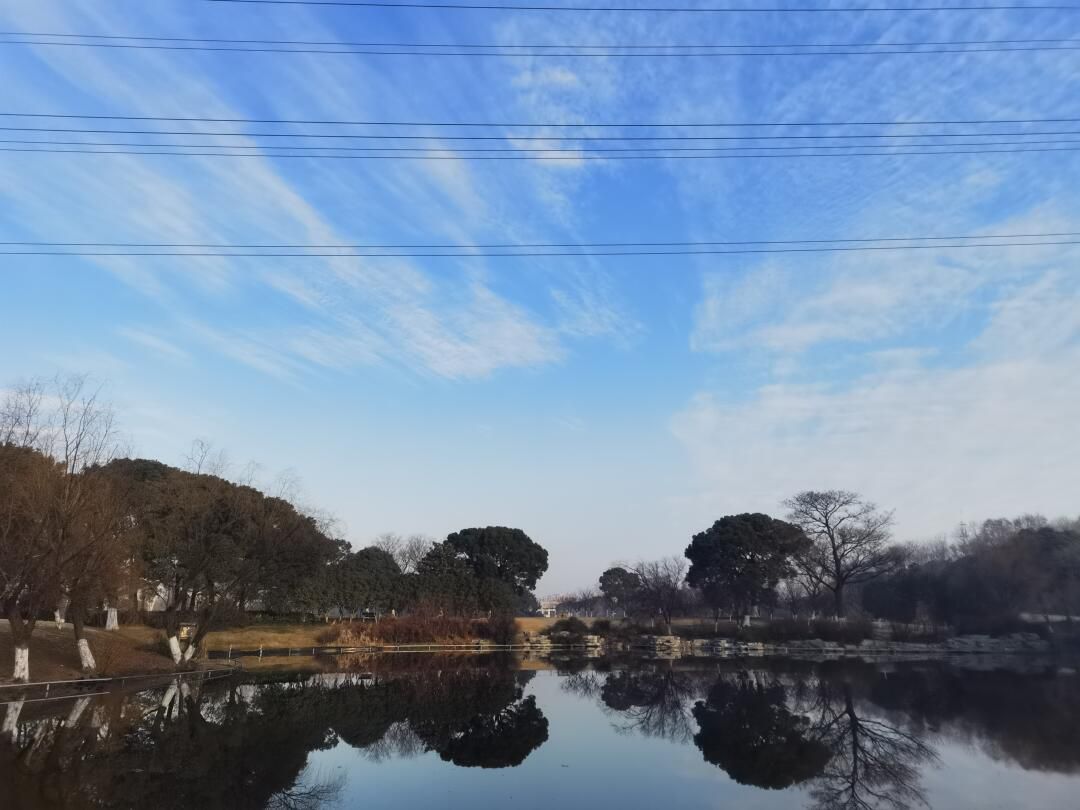上海闵行体育公园旅行图片 1