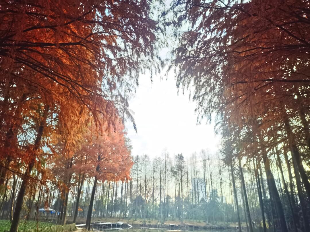 上海闵行体育公园旅行图片 2
