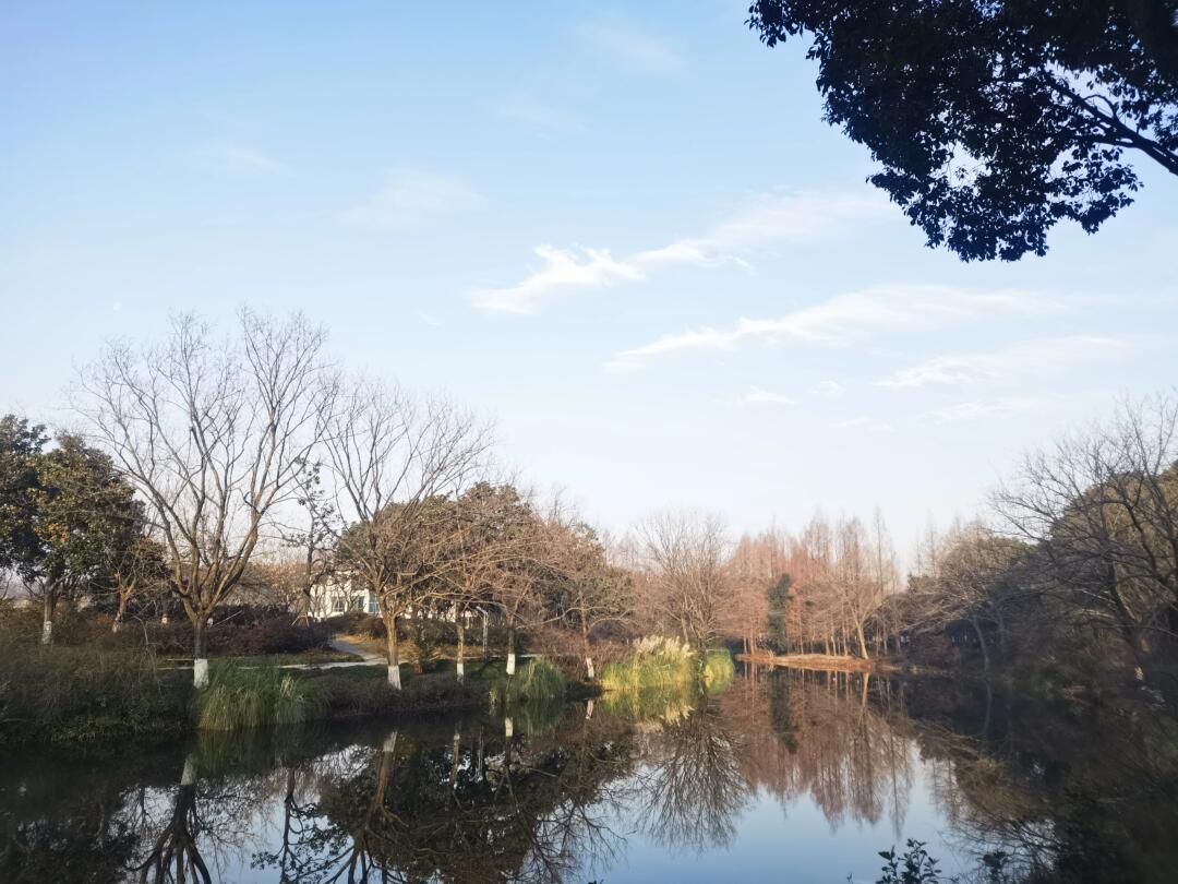 上海闵行体育公园旅行图片 1
