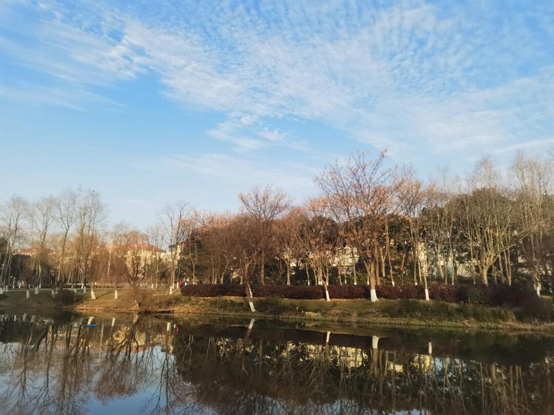 上海闵行体育公园旅行图片 1