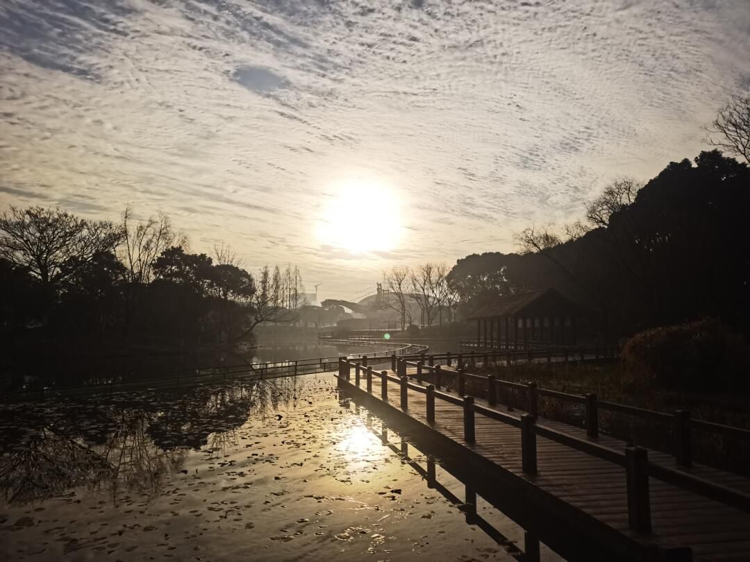 上海闵行体育公园旅行图片 2