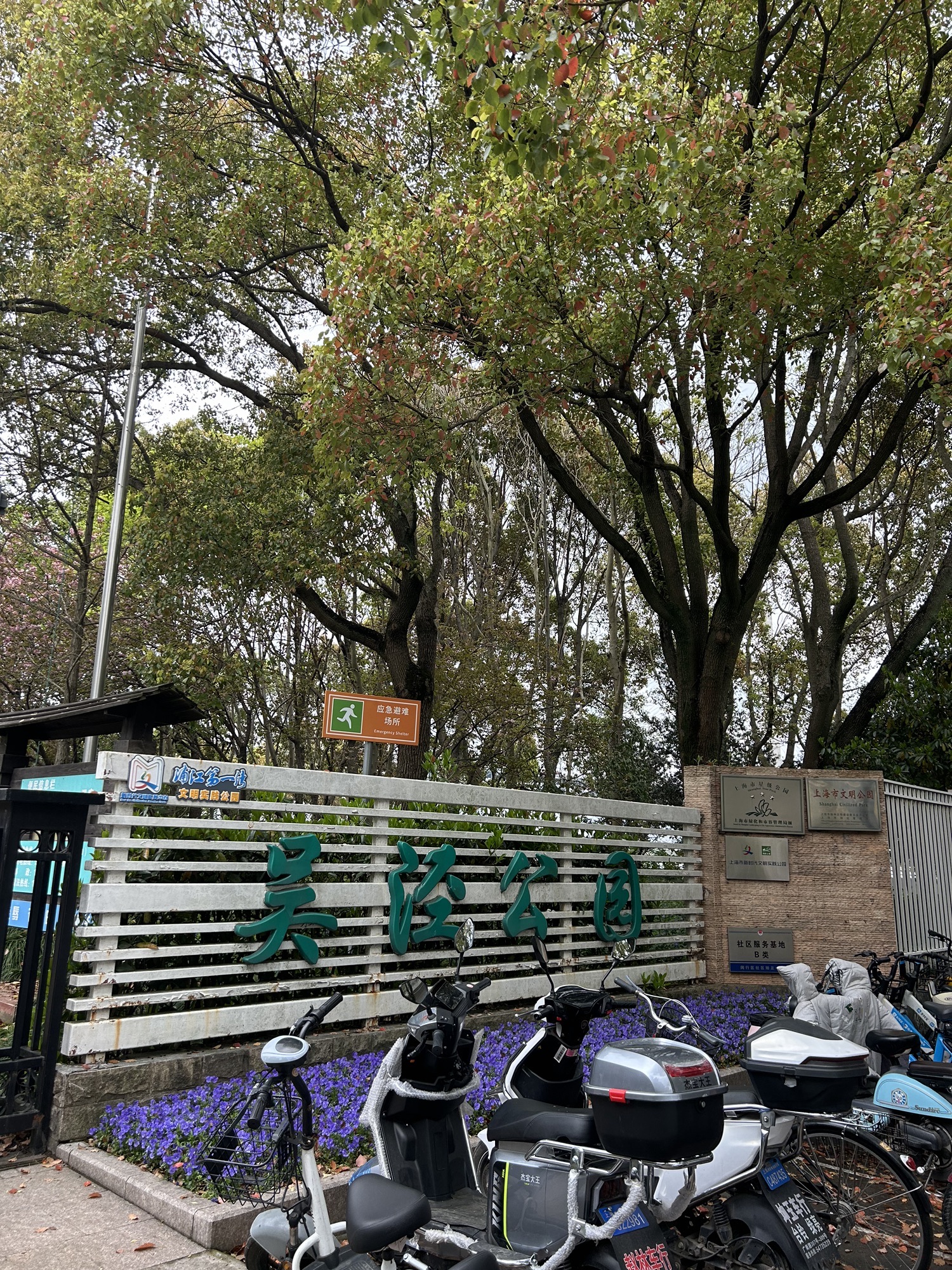 吴泾公园旅行图片 1