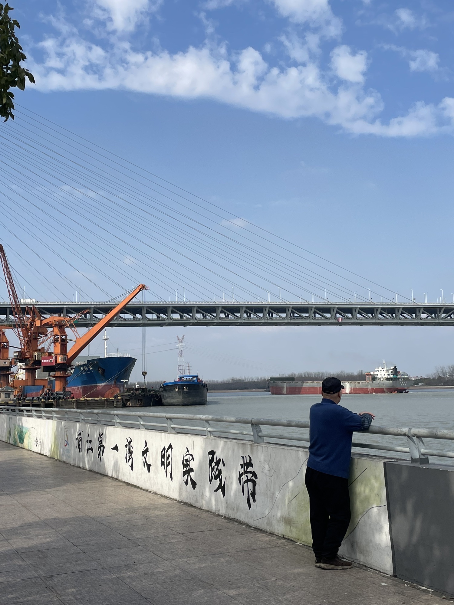 吴泾公园旅行图片 1