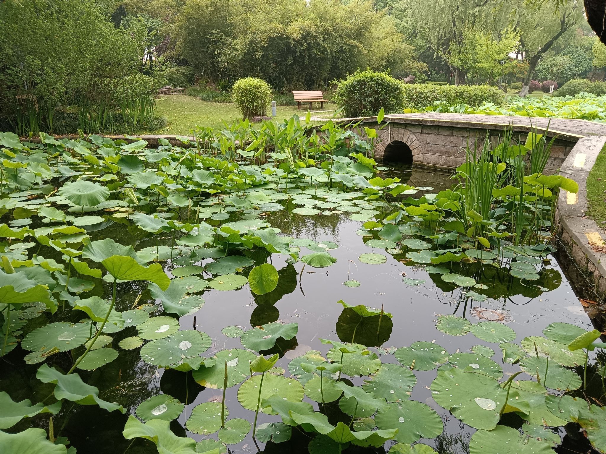 吴泾公园旅行图片 2