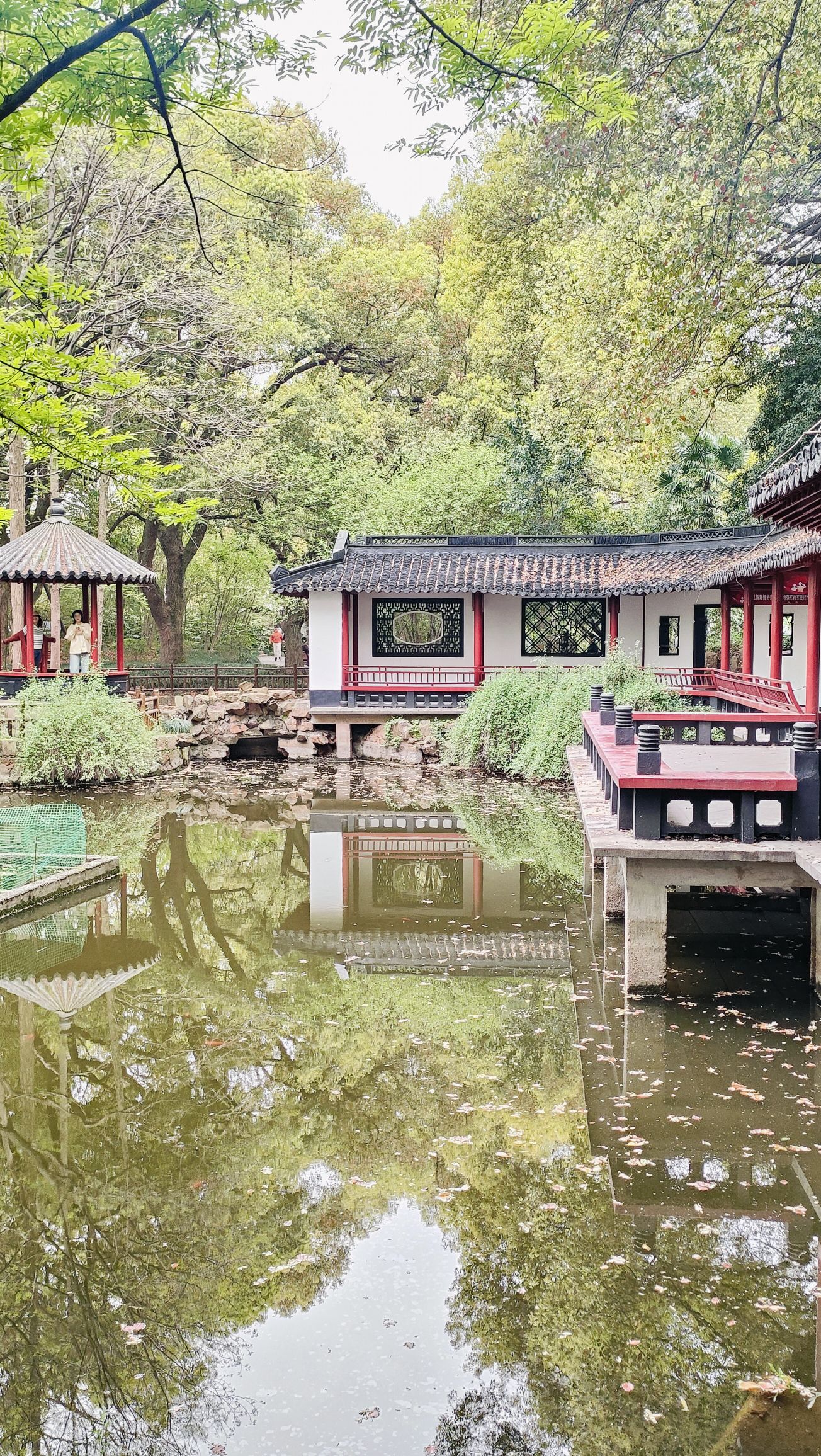 金山公园旅行图片 3