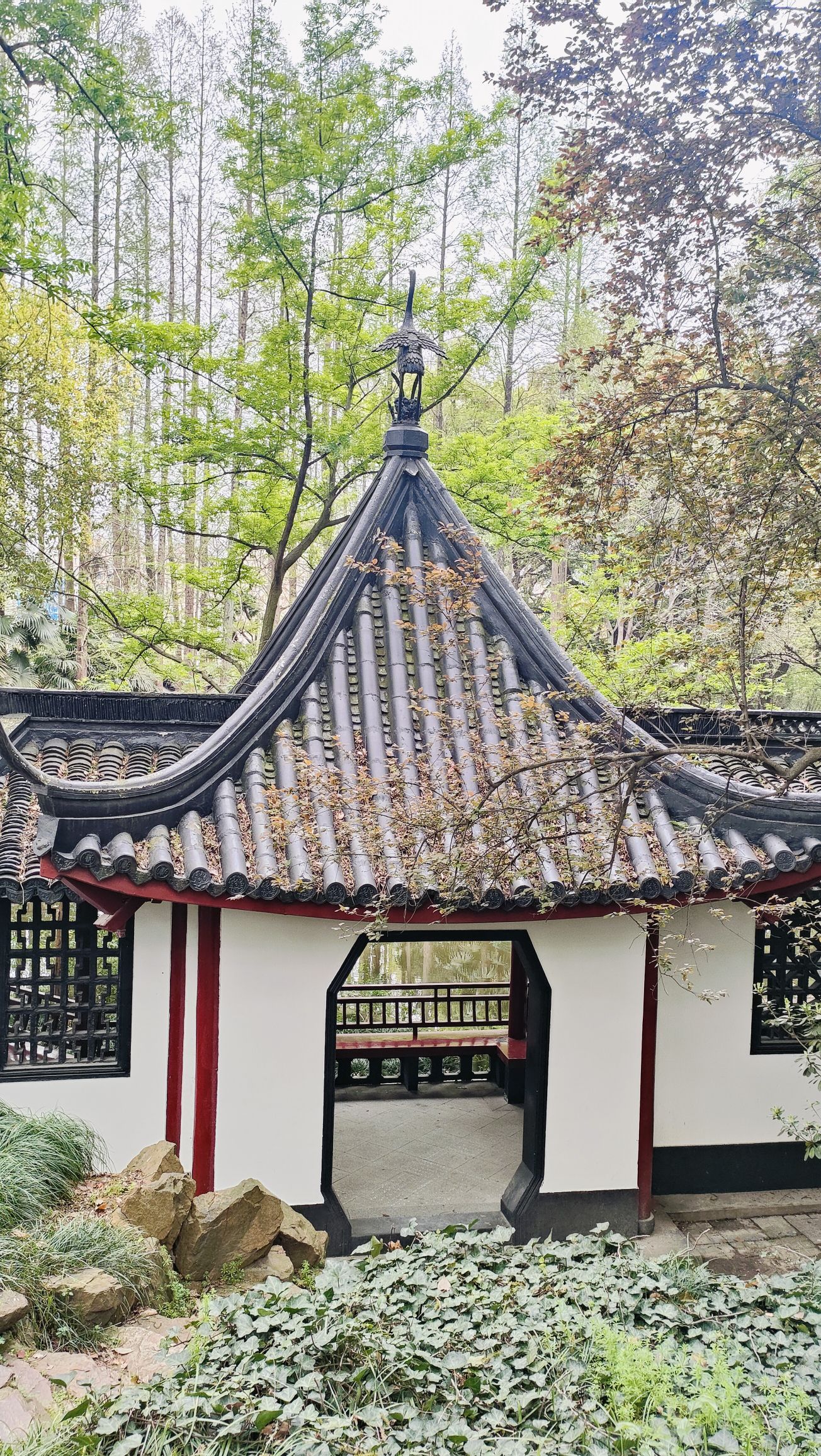 金山公园旅行图片 2