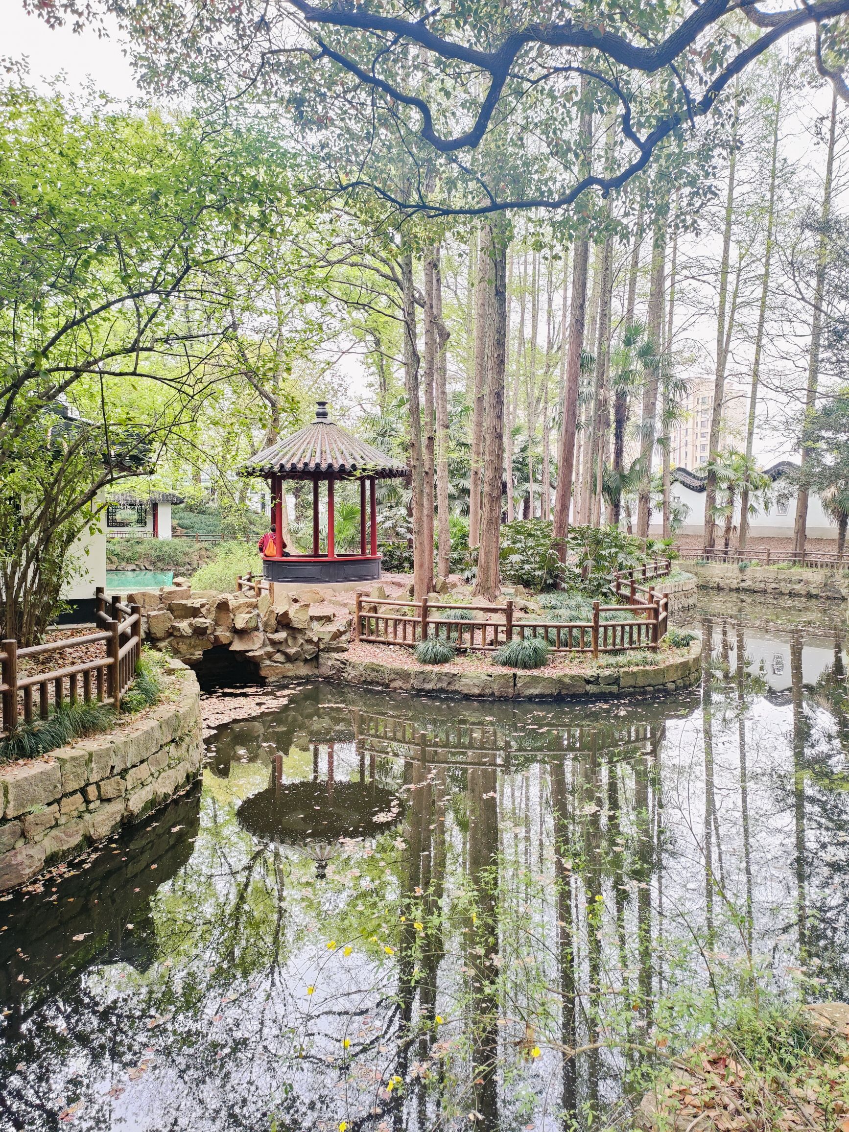 金山公园旅行图片 1
