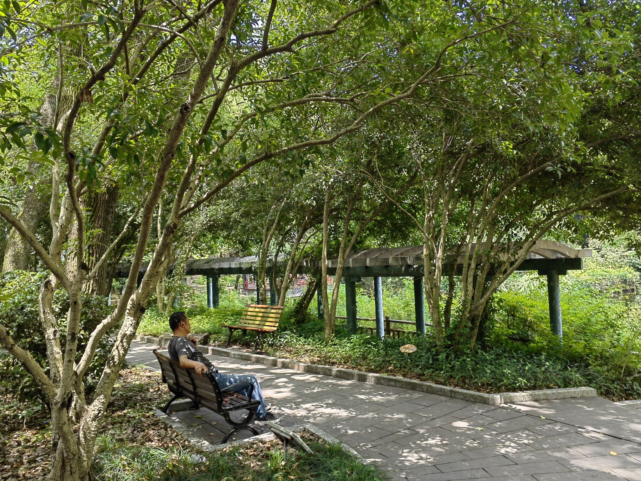 金山公园旅行图片 2