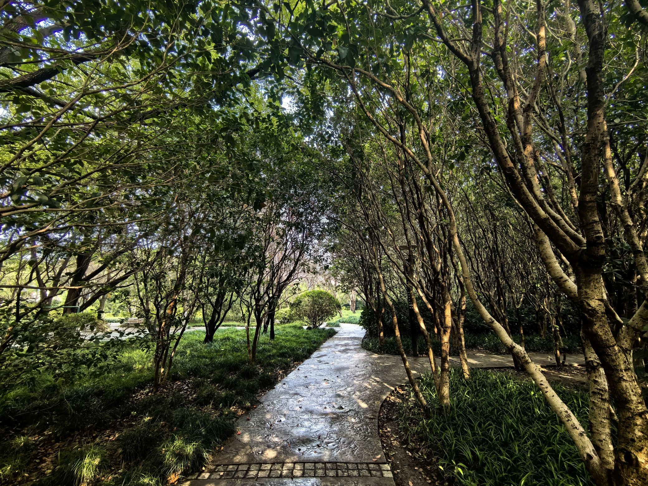 泗塘公园旅行图片 3
