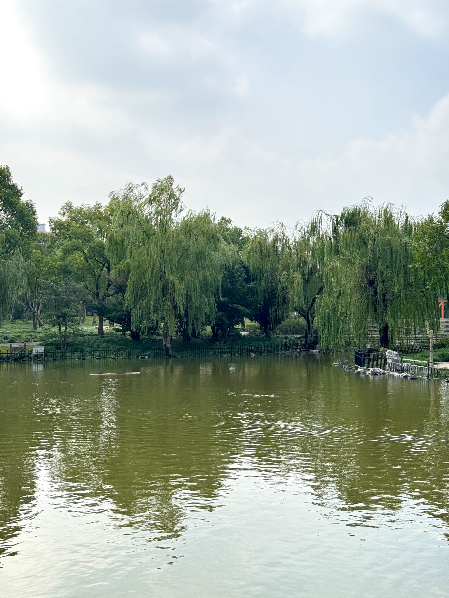 淞南公园旅行图片 1