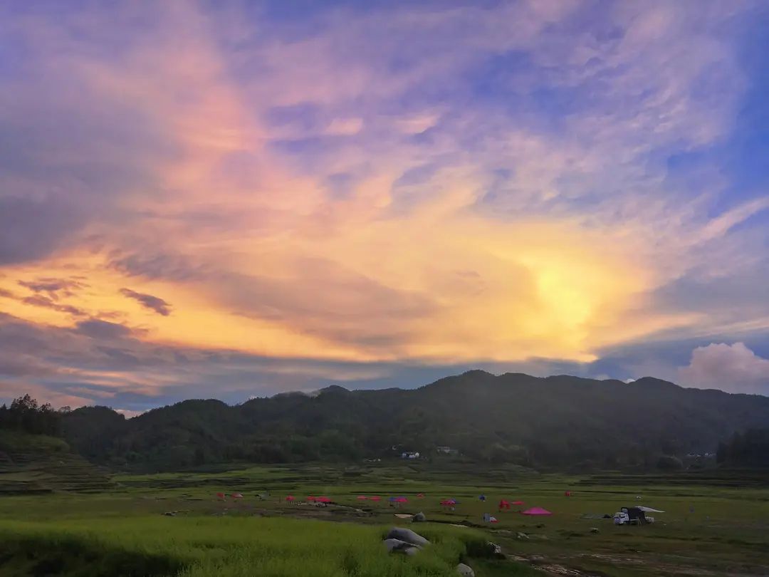 淞南公园旅行图片 2